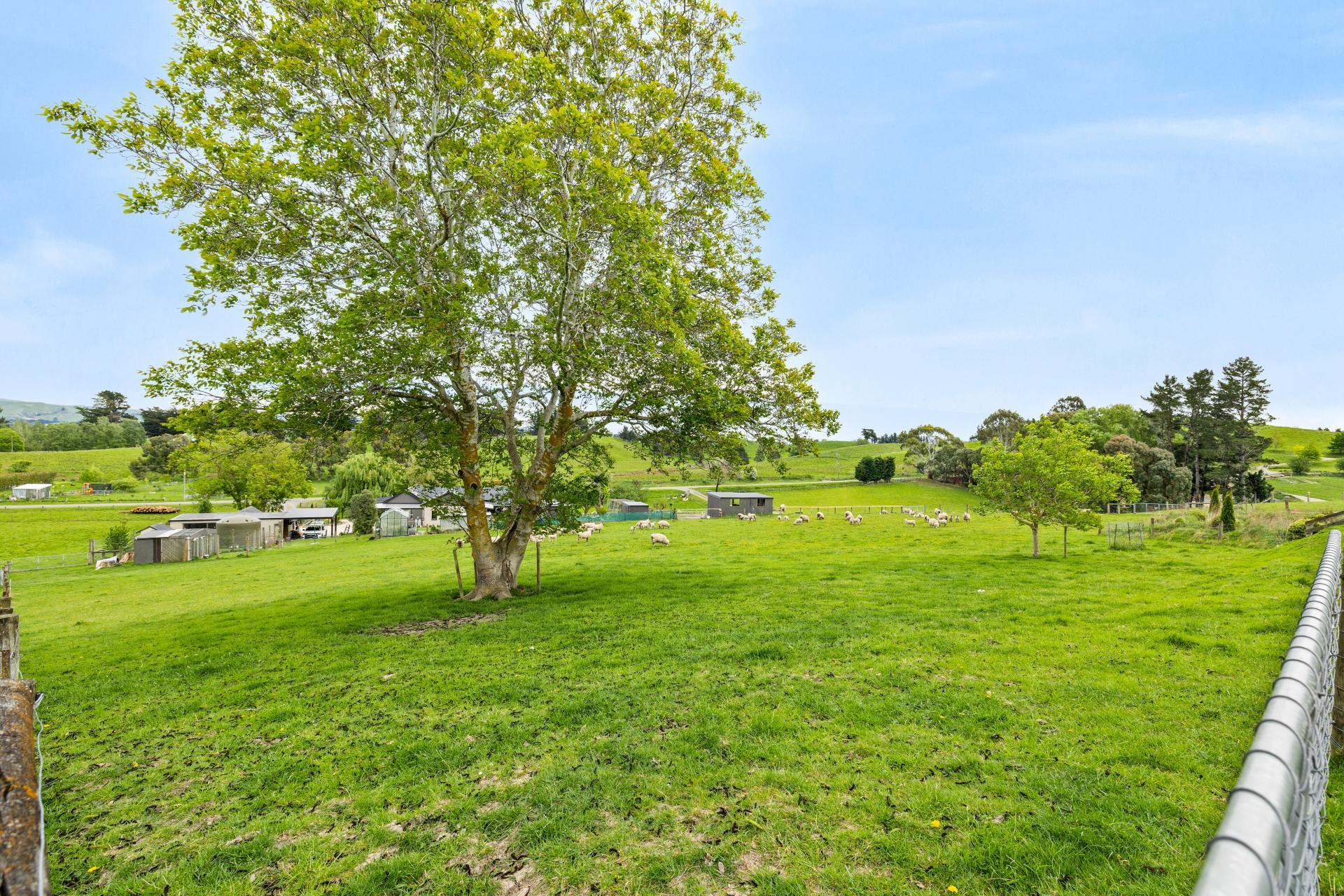 14 Levin Road, Cheviot