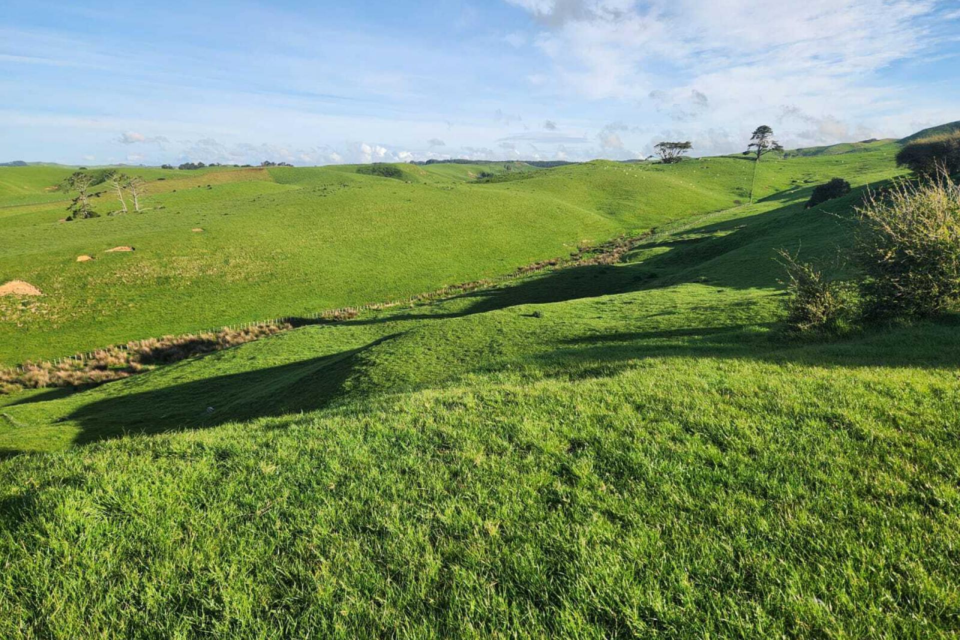 899 Te Akau Road, Te Akau