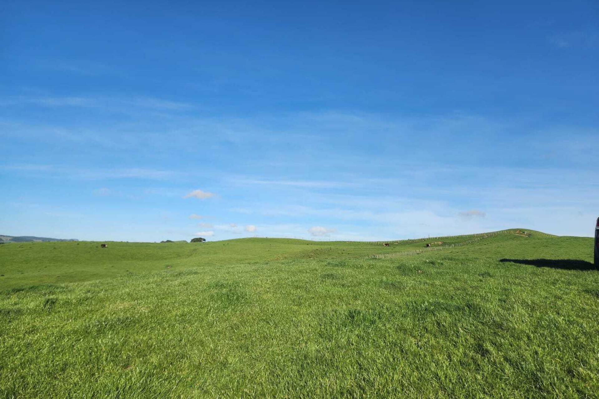 899 Te Akau Road, Te Akau