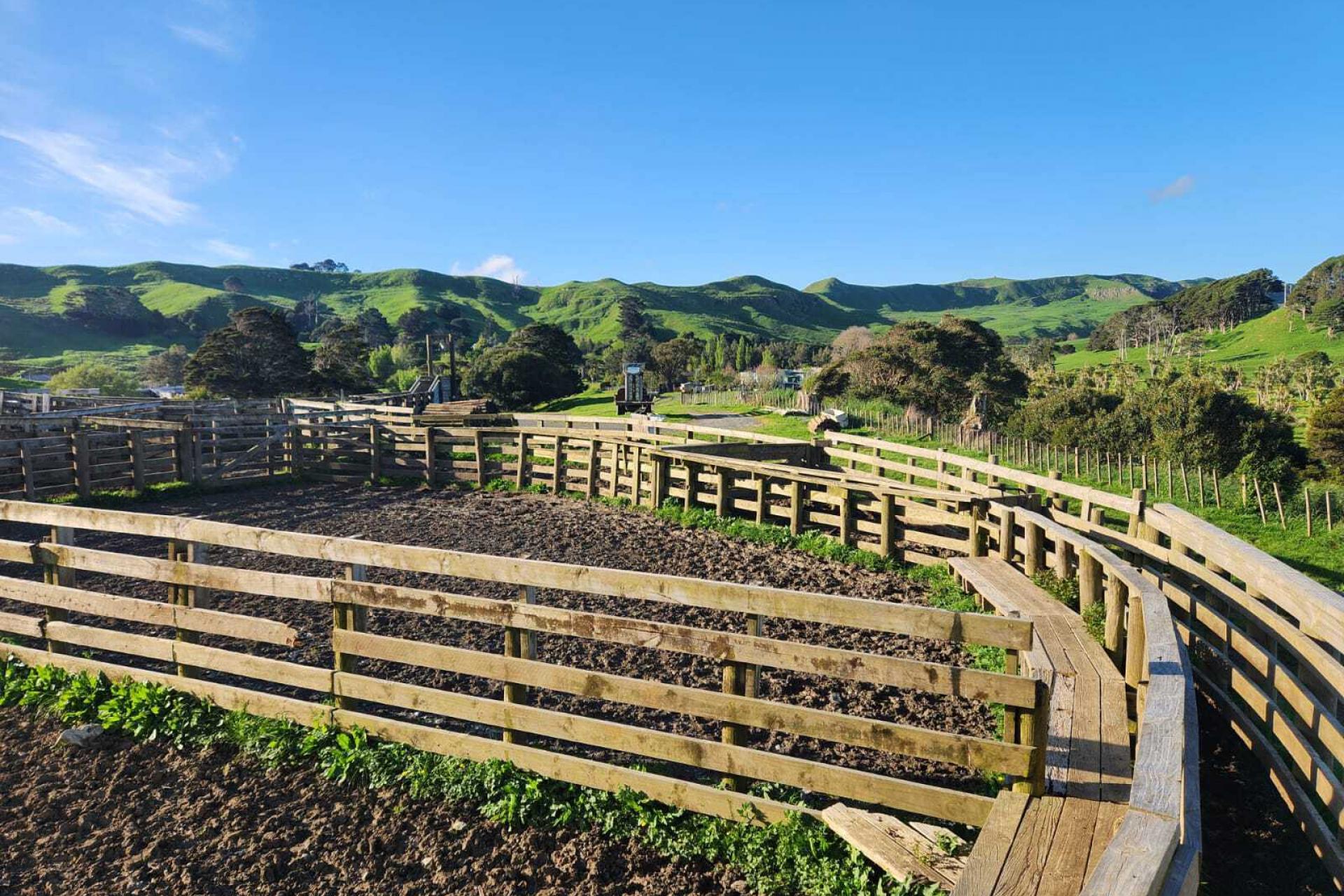 899 Te Akau Road, Te Akau