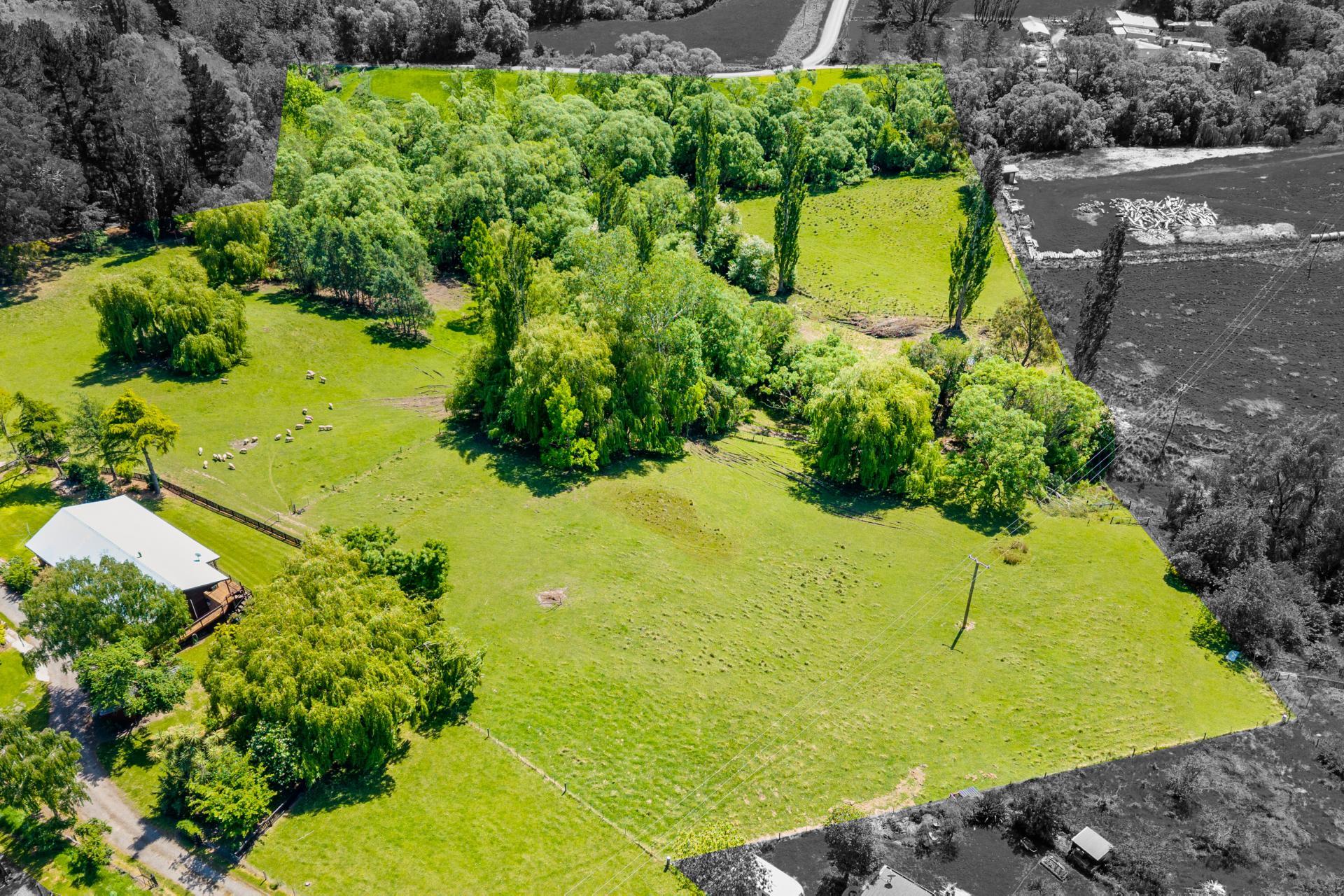 21 Deer Park Road, Cheviot