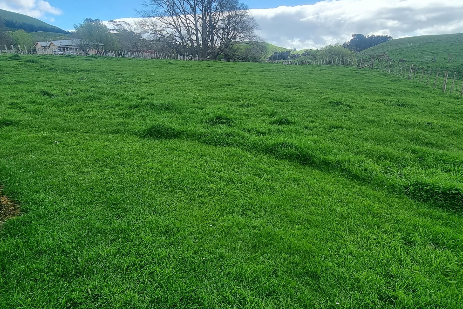 3345A Weber Road, Dannevirke