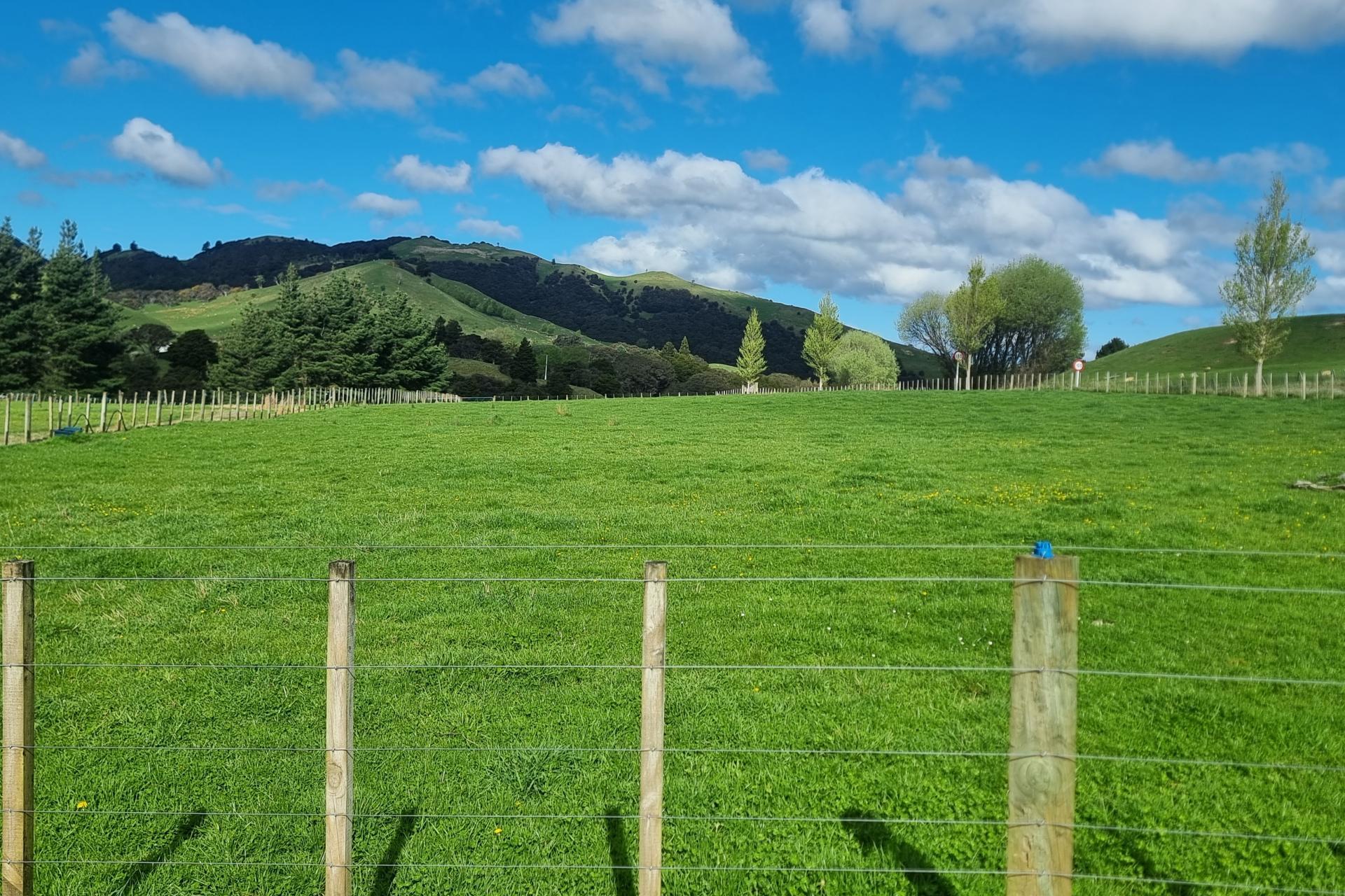 3345A Weber Road, Dannevirke