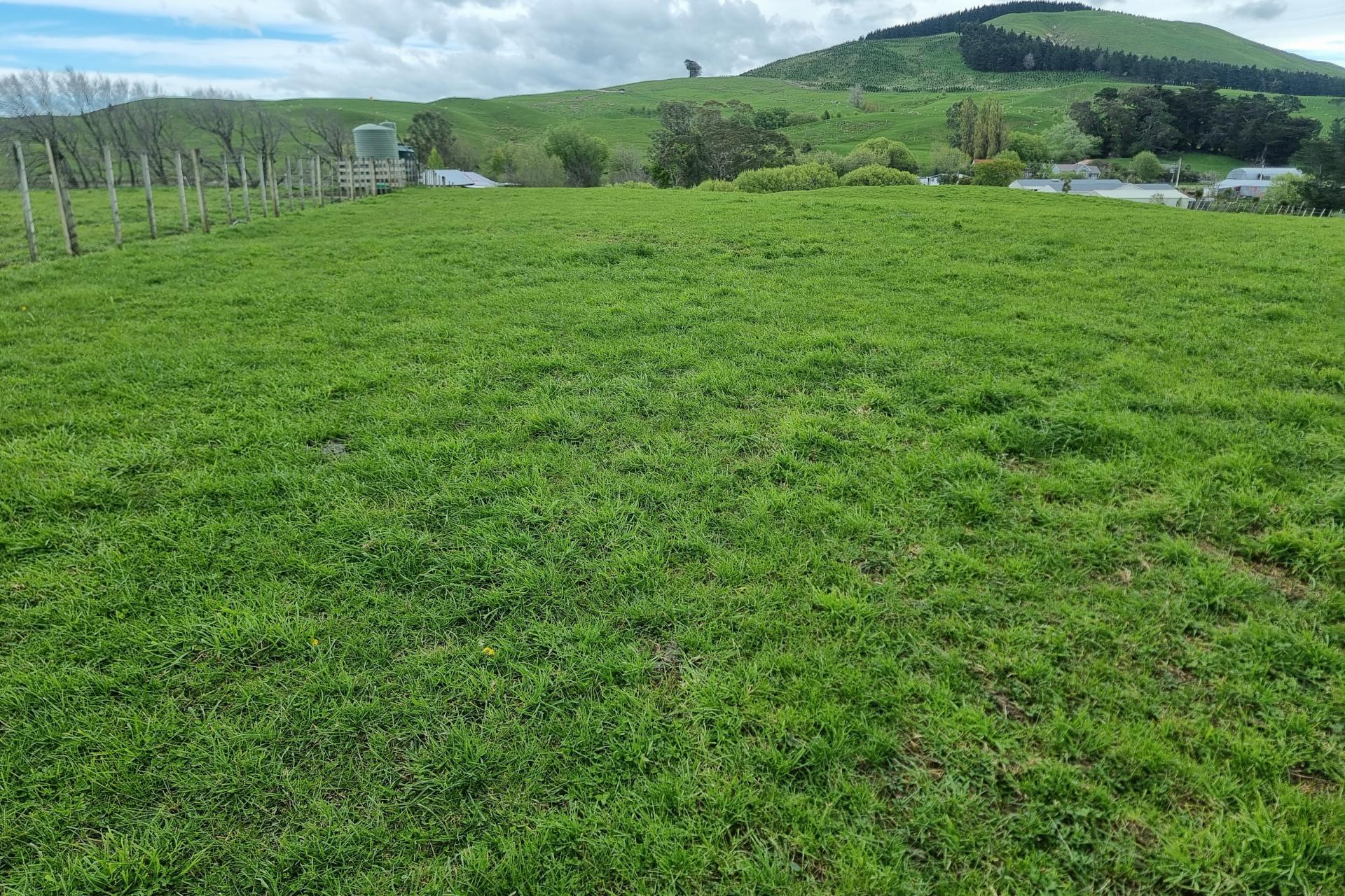3345A Weber Road, Dannevirke