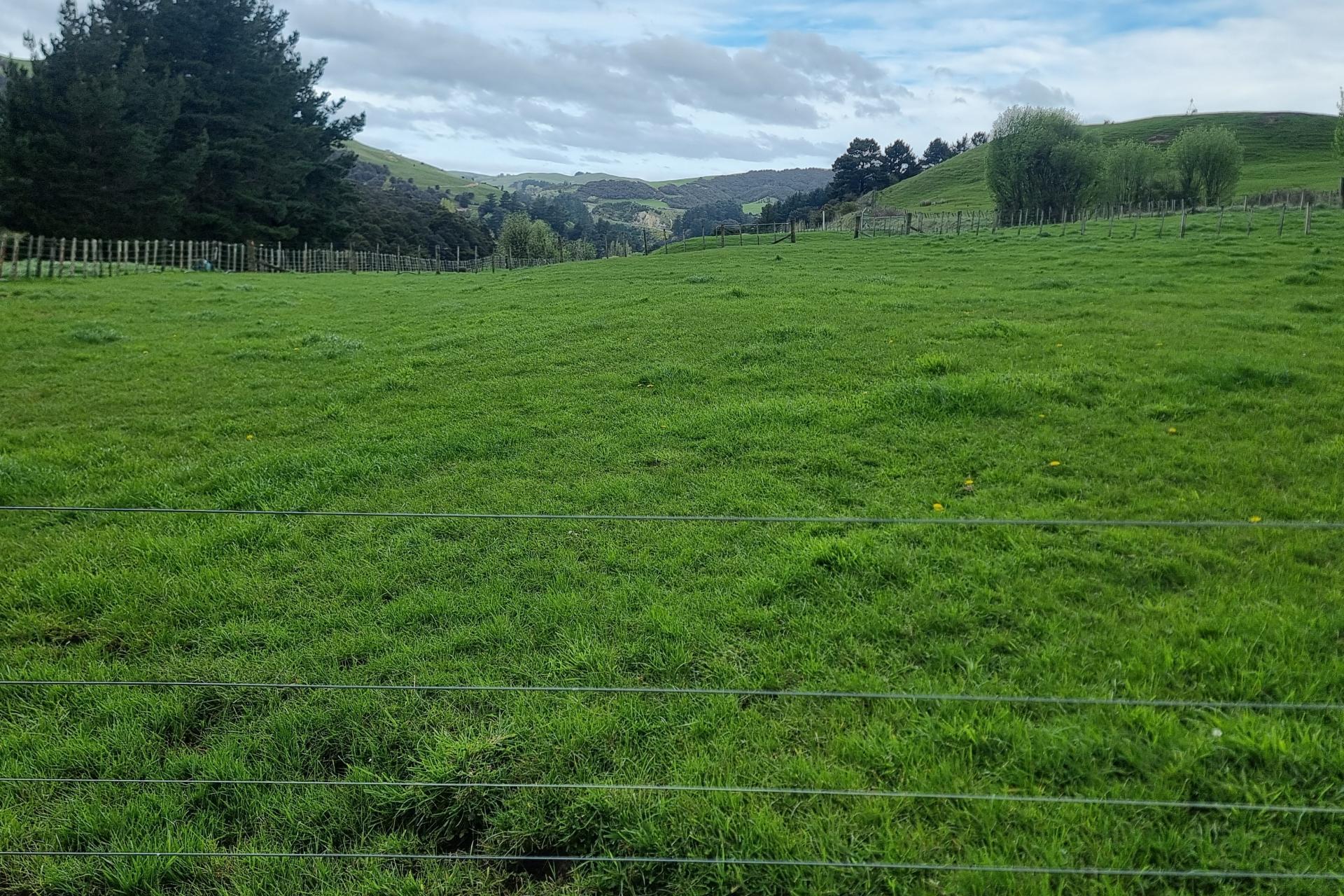 3345A Weber Road, Dannevirke