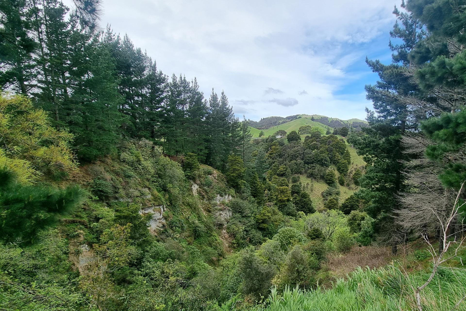 3345A Weber Road, Dannevirke