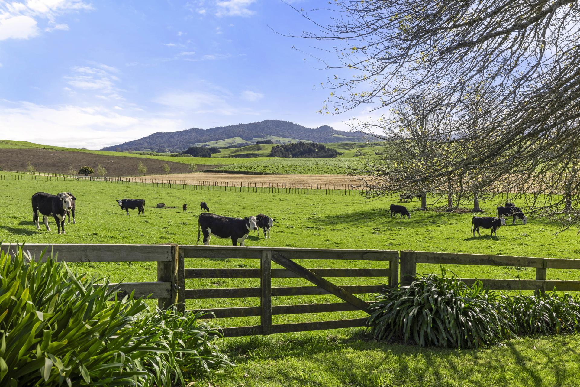 563B Matai Road, Matamata