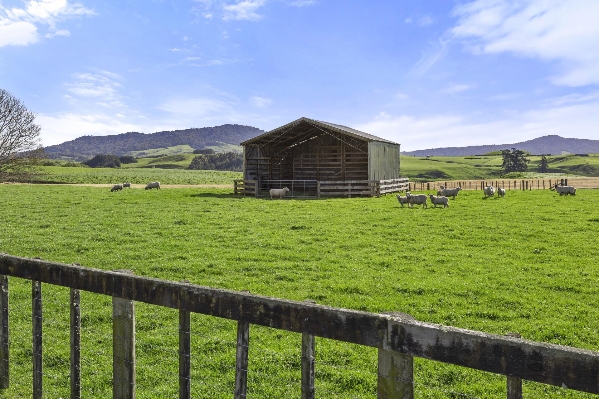 563B Matai Road, Matamata