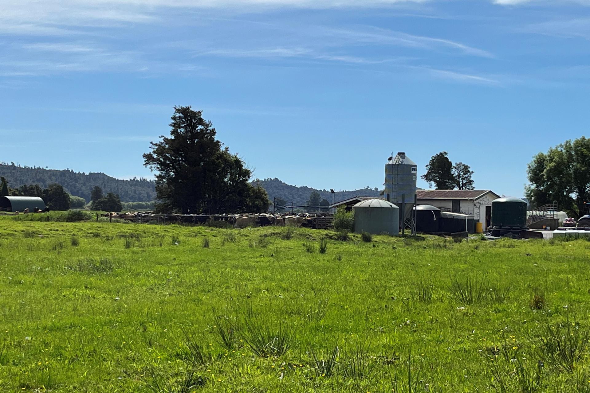 694-778 Waitaha Road, Kakapotahi