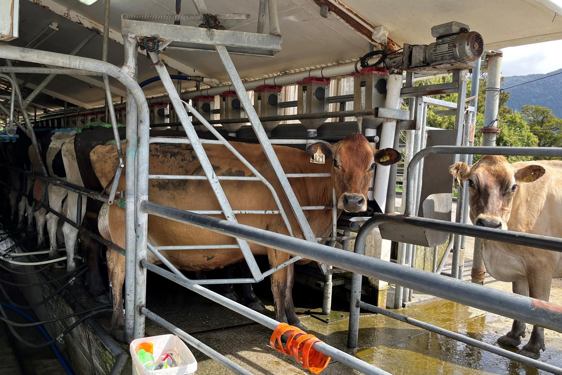 694-778 Waitaha Road, Kakapotahi