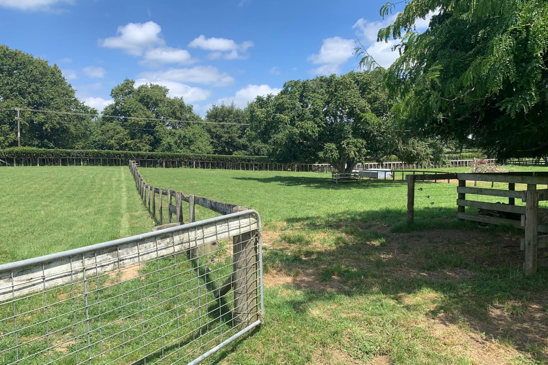 211 Tower Road, Matamata