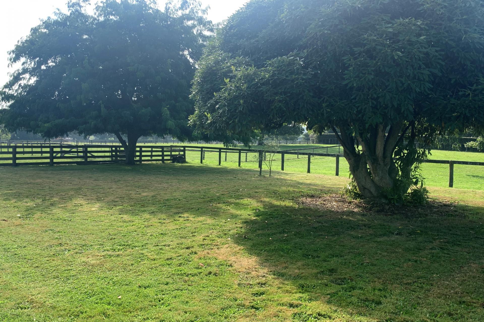 211 Tower Road, Matamata