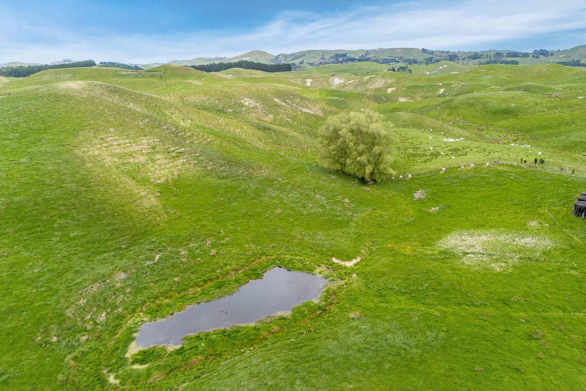 209 Pattison Road, Oueroa