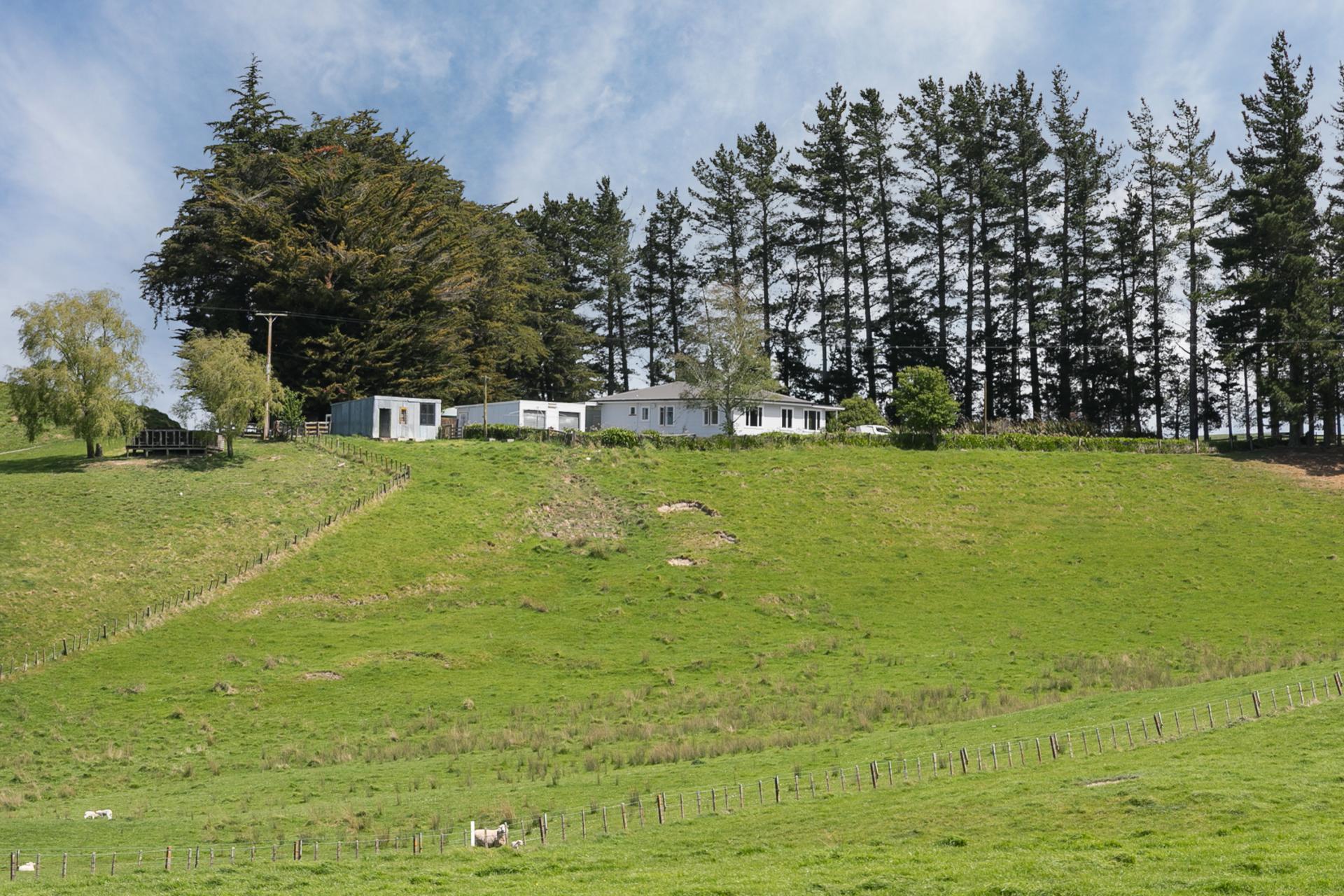300 Pattison Road, Waipukurau