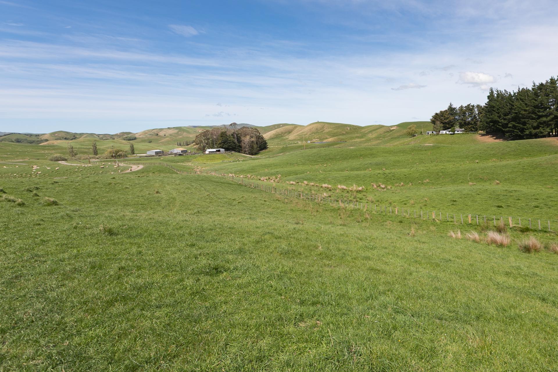 300 Pattison Road, Waipukurau