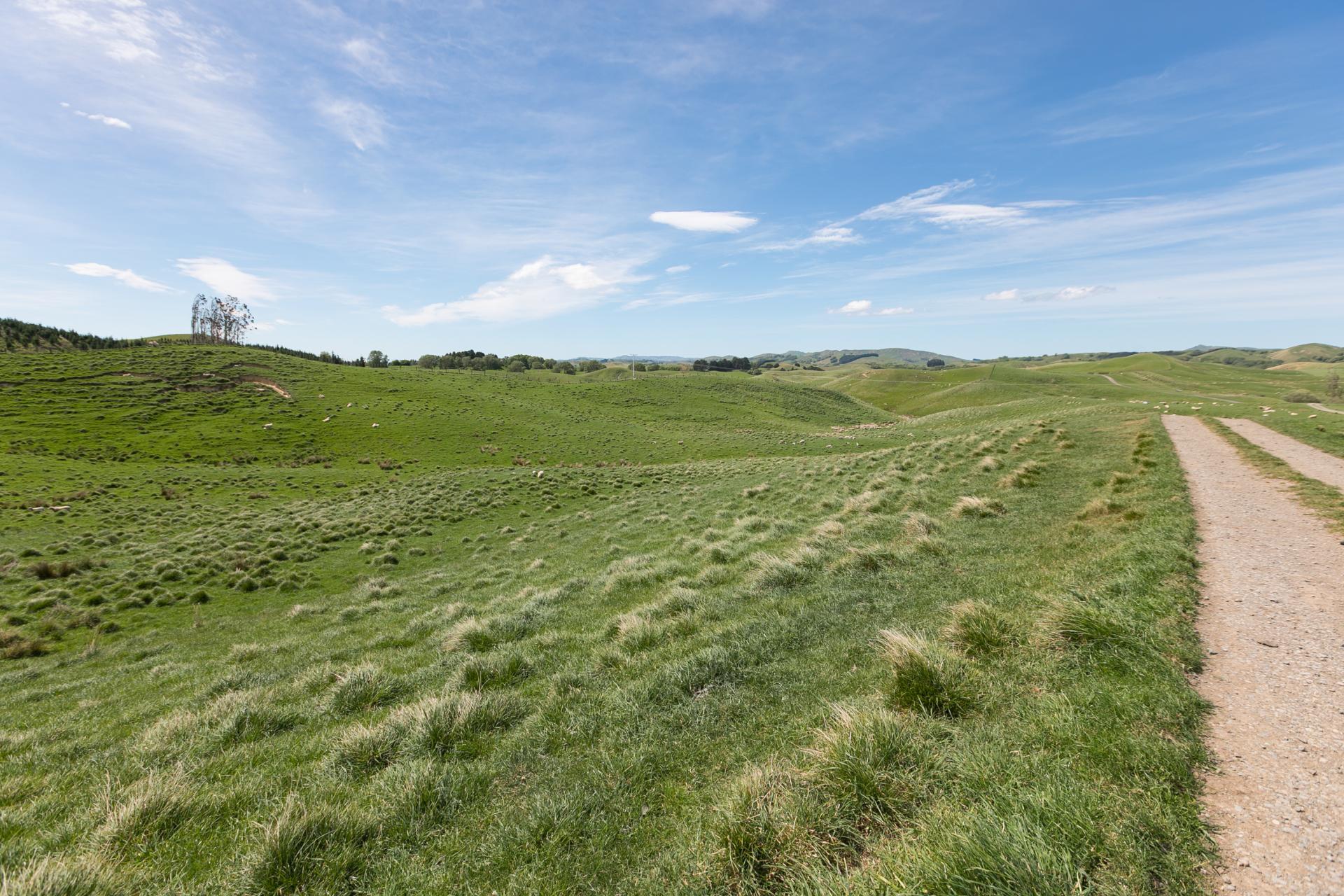 300 Pattison Road, Waipukurau