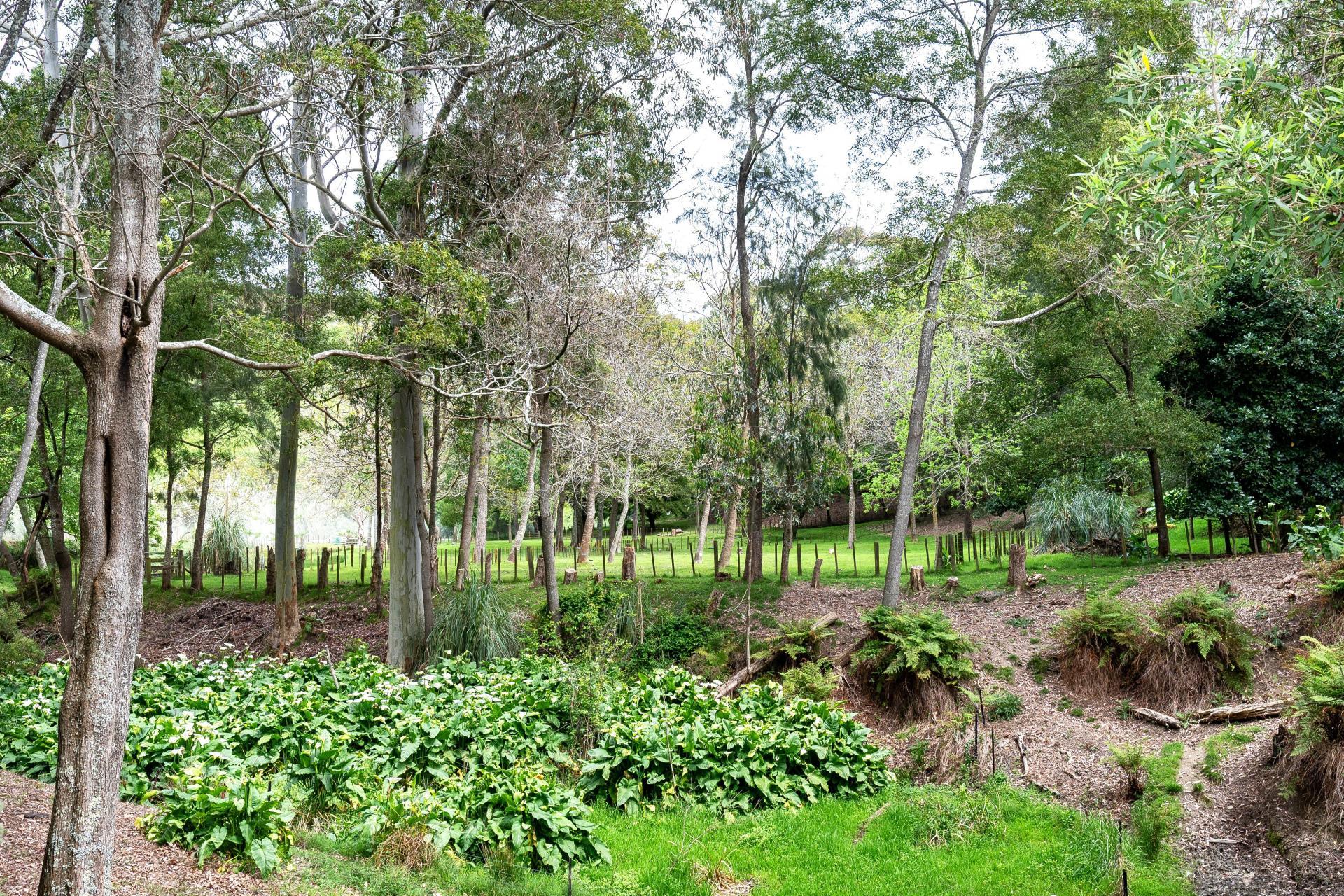 1793 Mohaka Coach Road, Mohaka