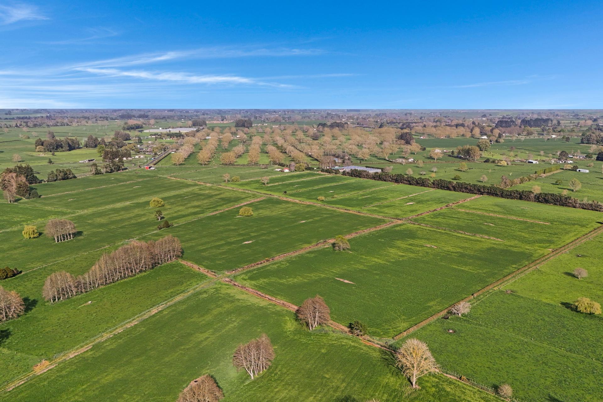 84 Goodwin Road, Ohaupo