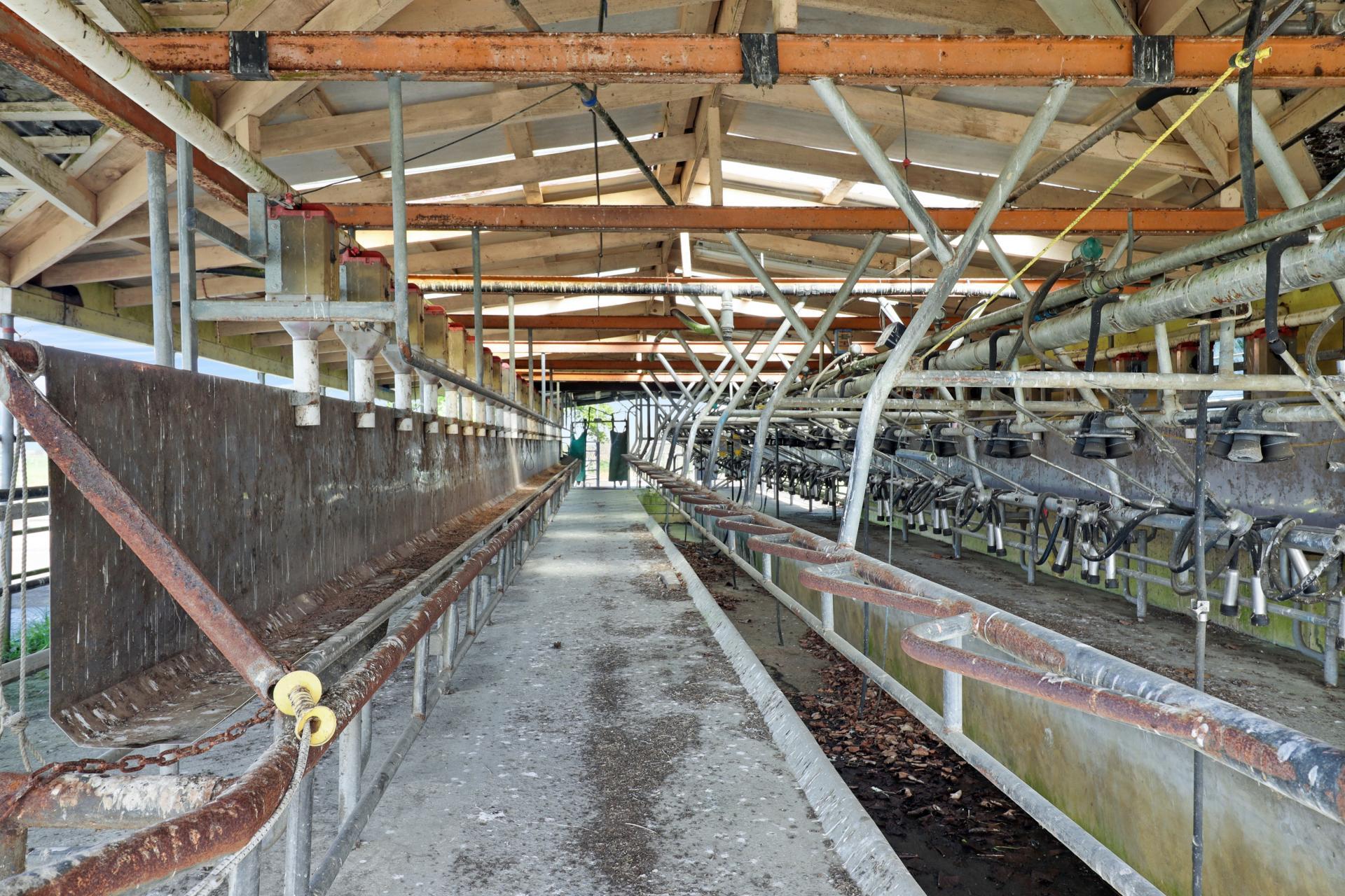 84 Goodwin Road, Ohaupo