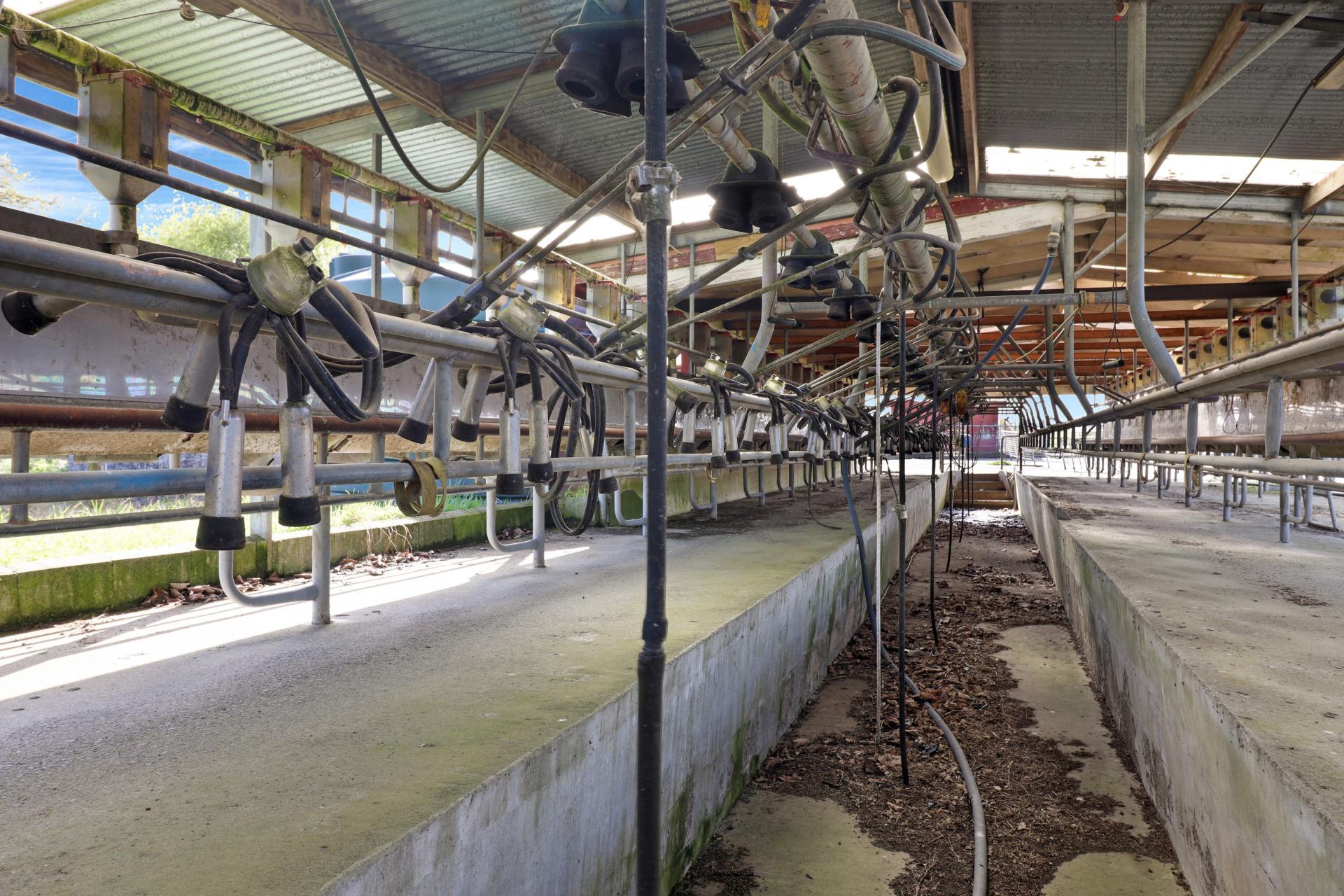 84 Goodwin Road, Ohaupo