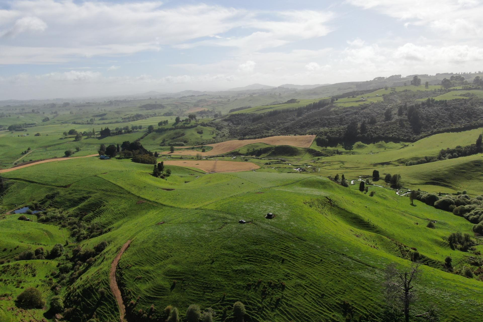 48 Barber Road, Otewa