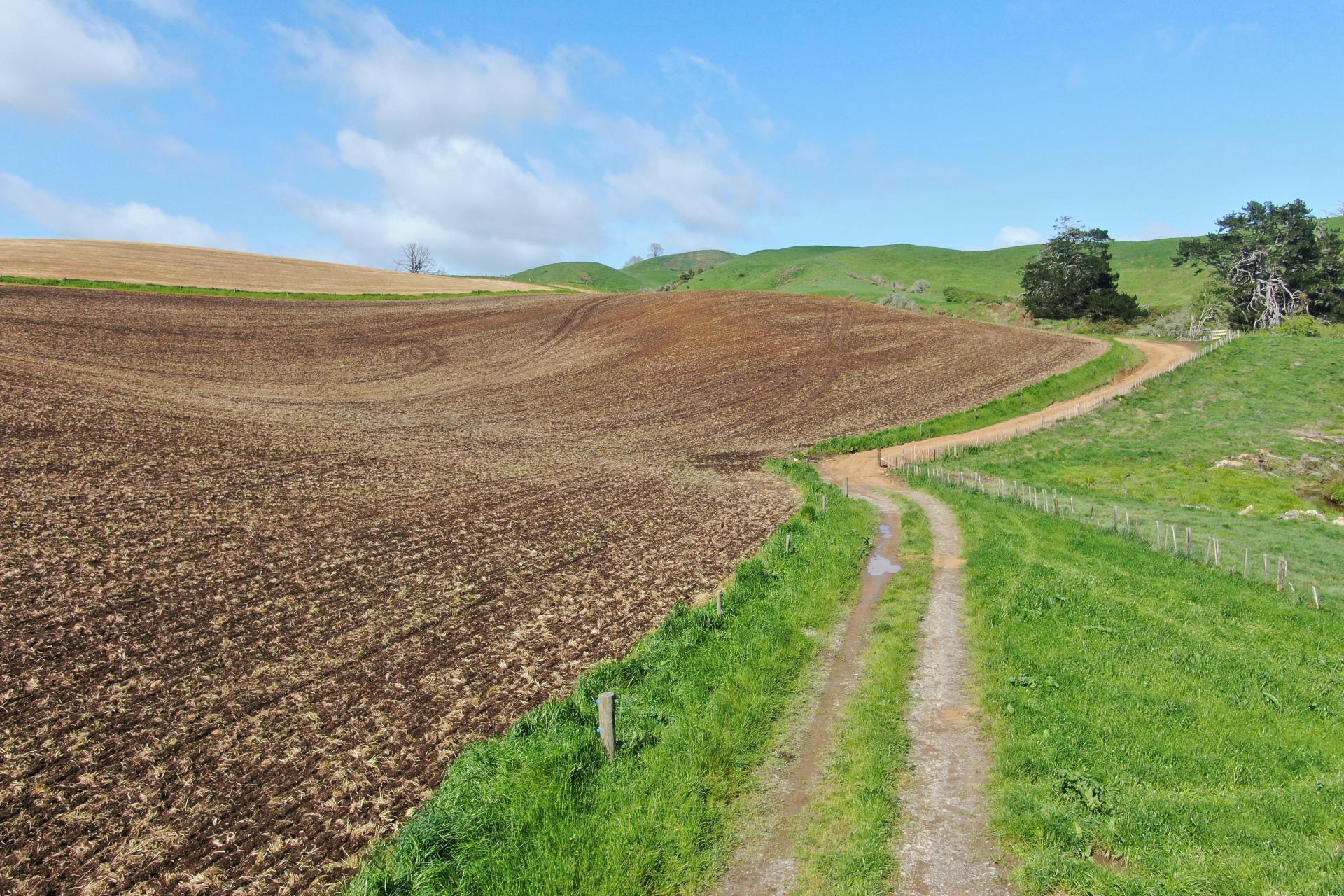 48 Barber Road, Otewa