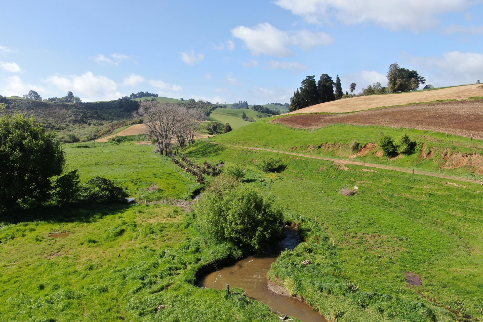 48 Barber Road, Otewa