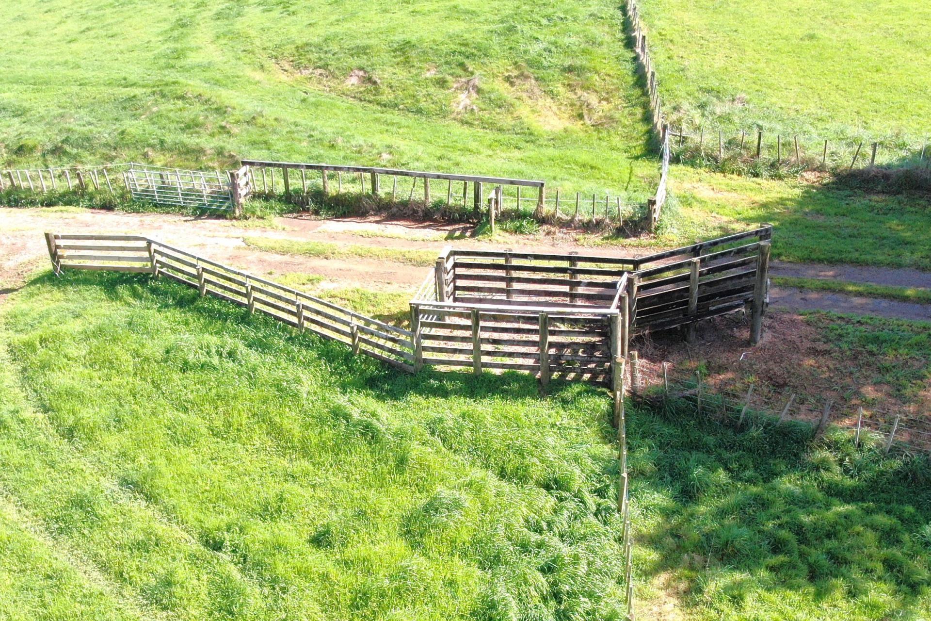 48 Barber Road, Otewa