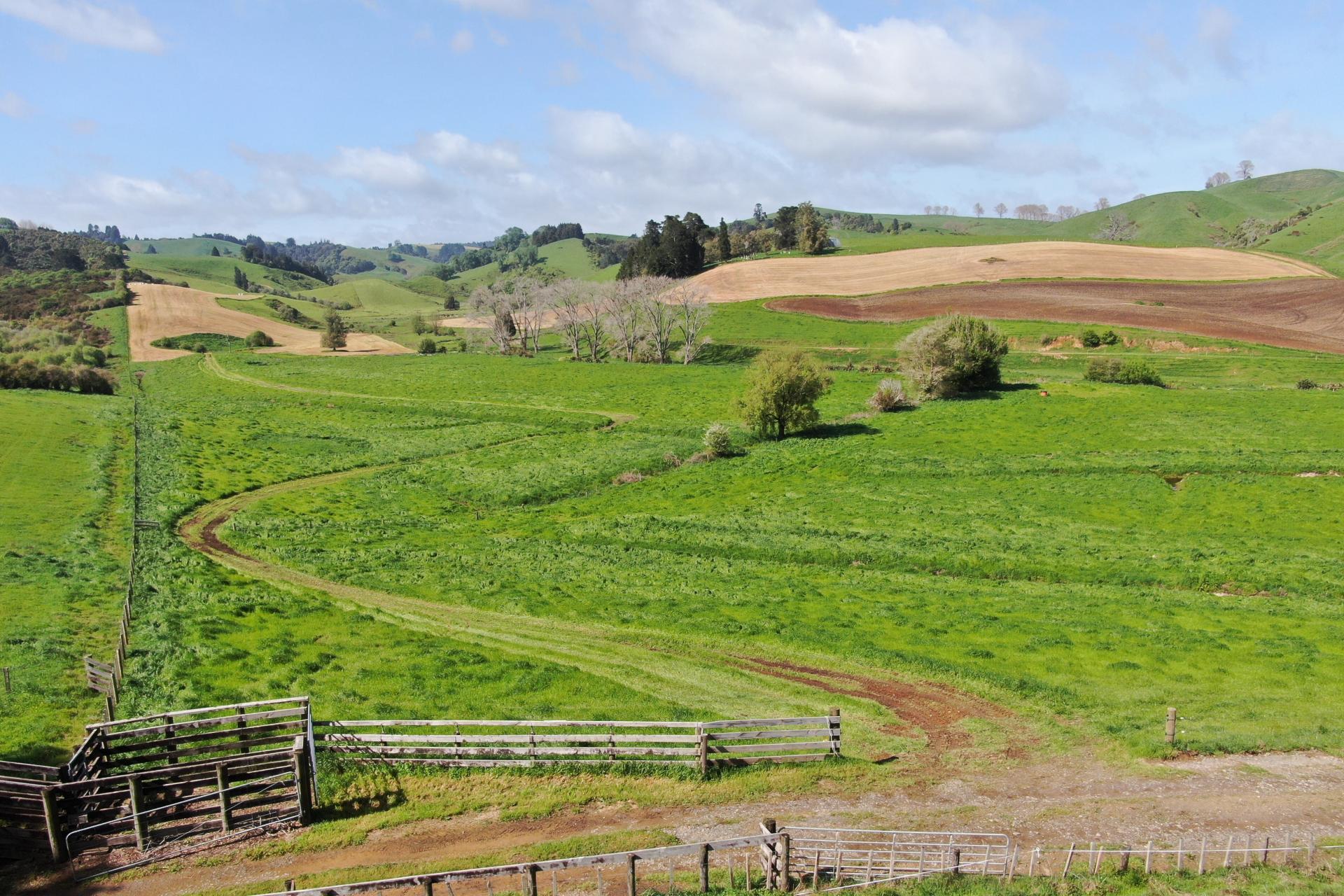 48 Barber Road, Otewa