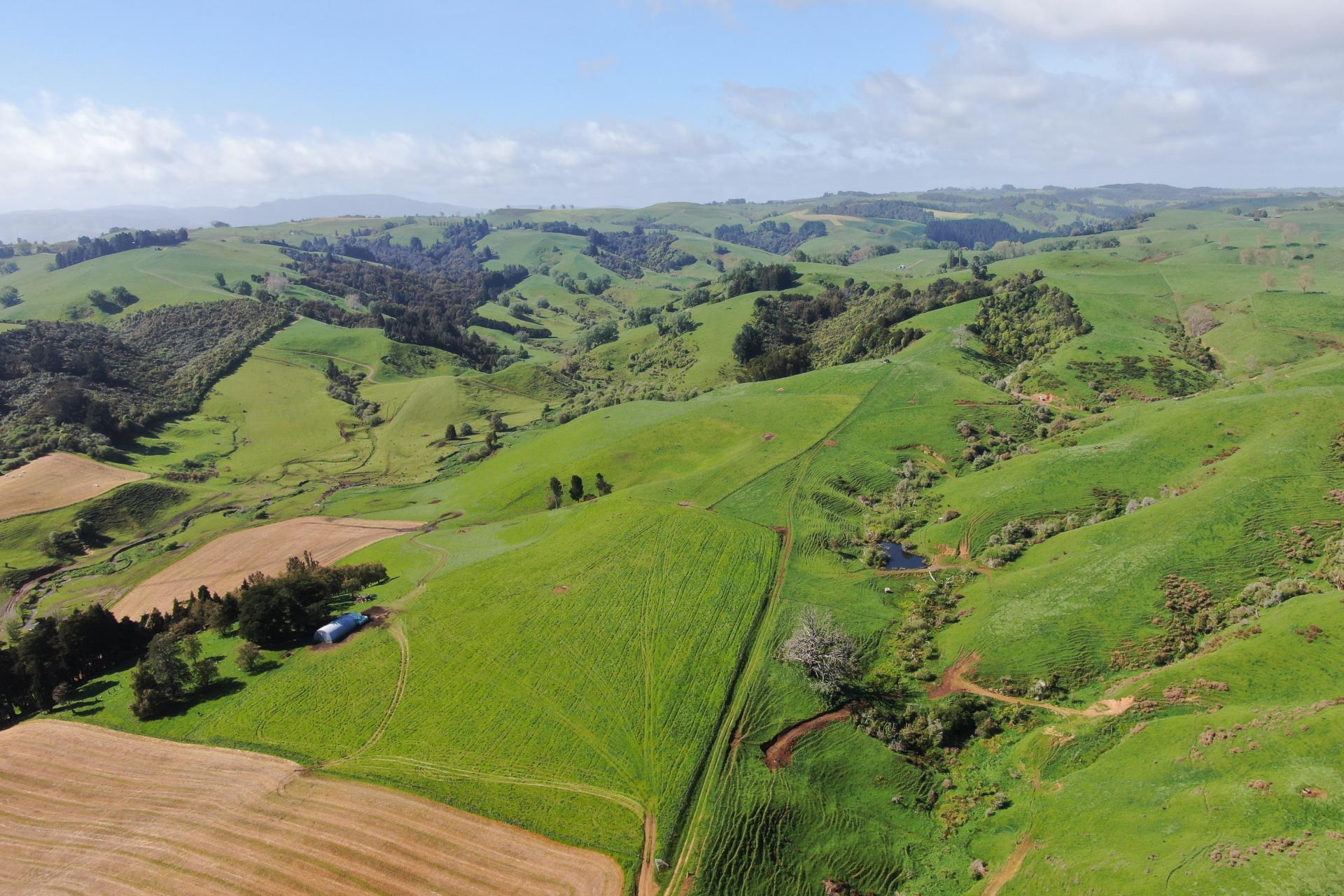 48 Barber Road, Otewa