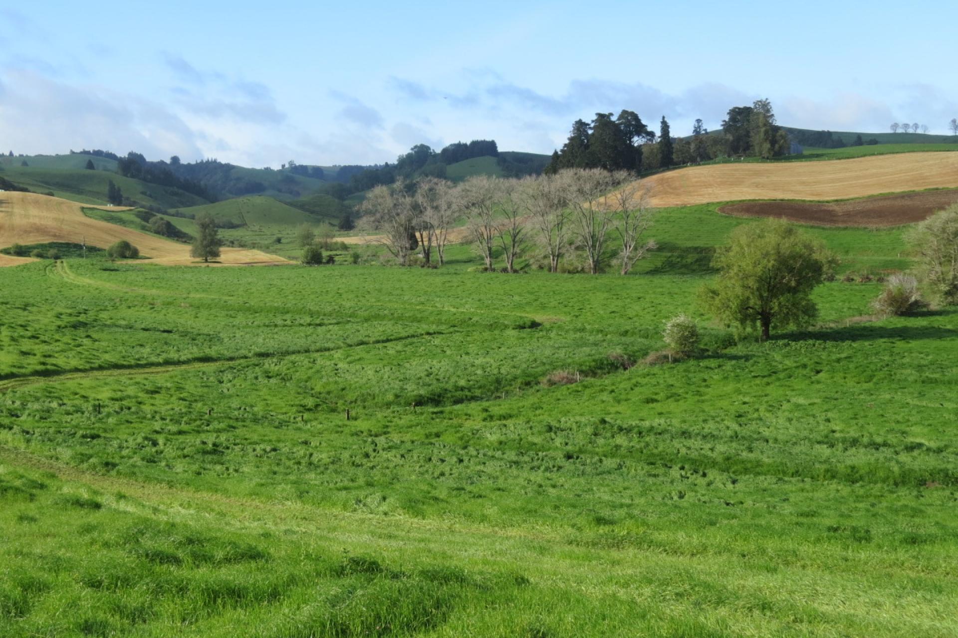 48 Barber Road, Otewa