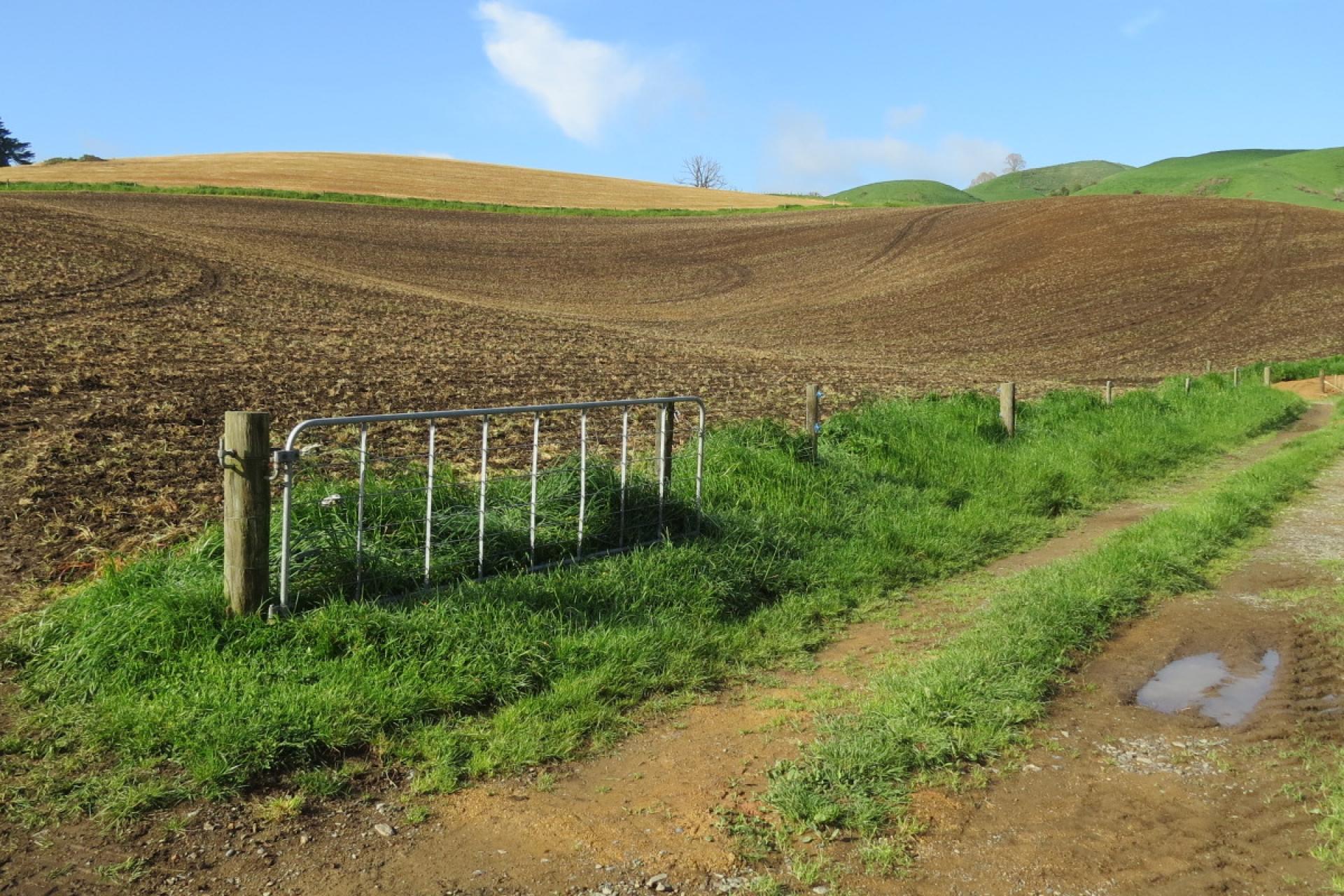 48 Barber Road, Otewa