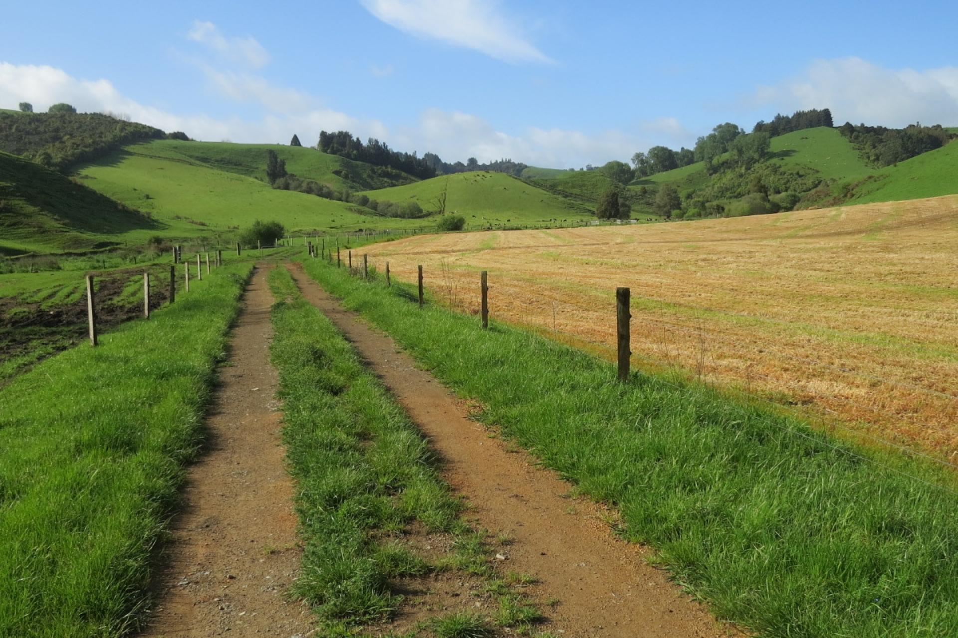 48 Barber Road, Otewa