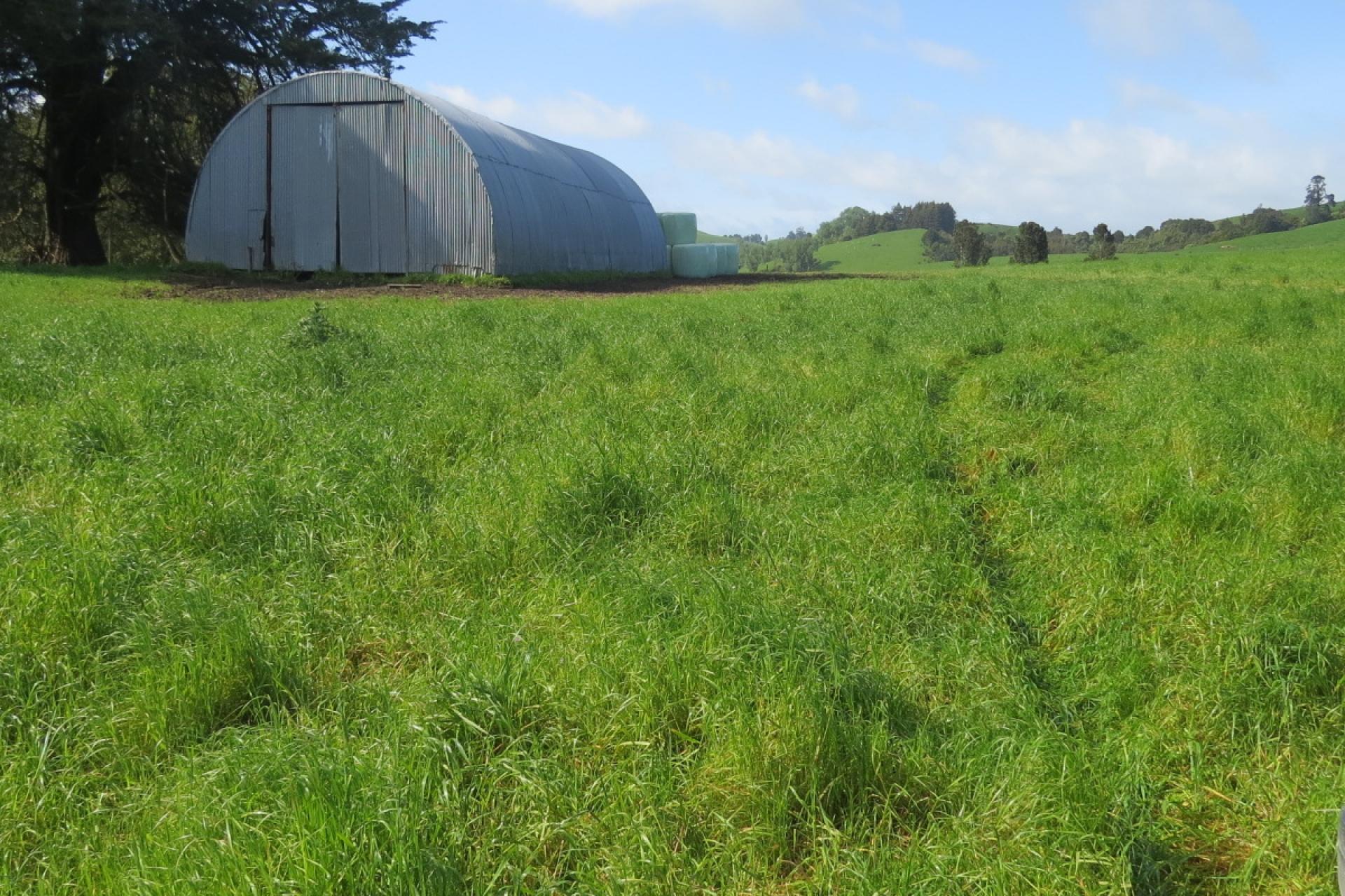 48 Barber Road, Otewa