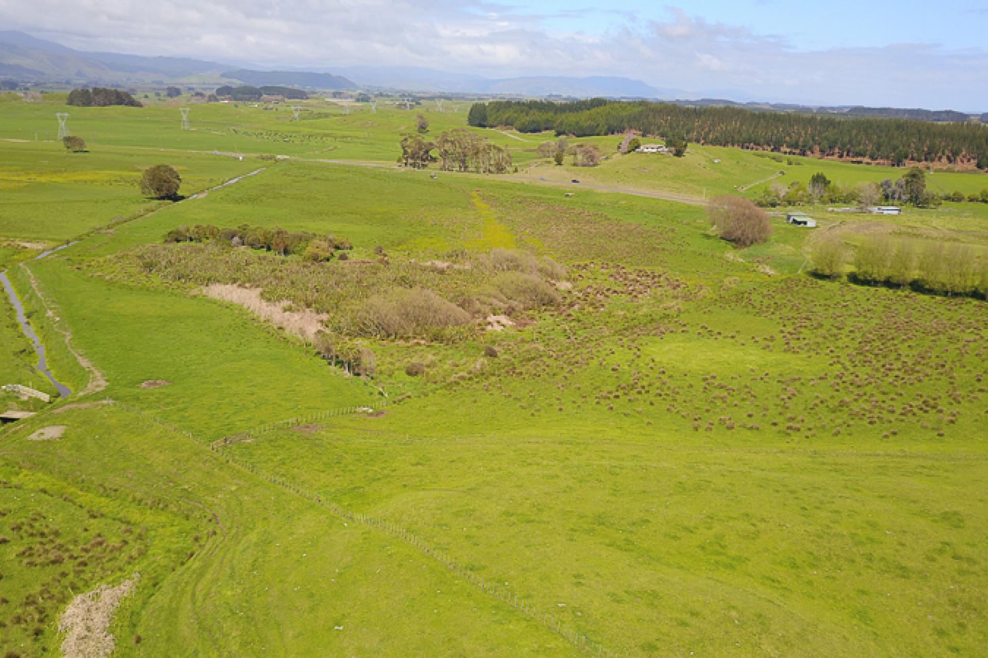 616 Muhunoa Road, Ohau