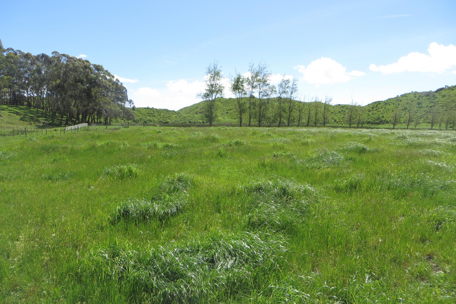 616 Muhunoa Road, Ohau