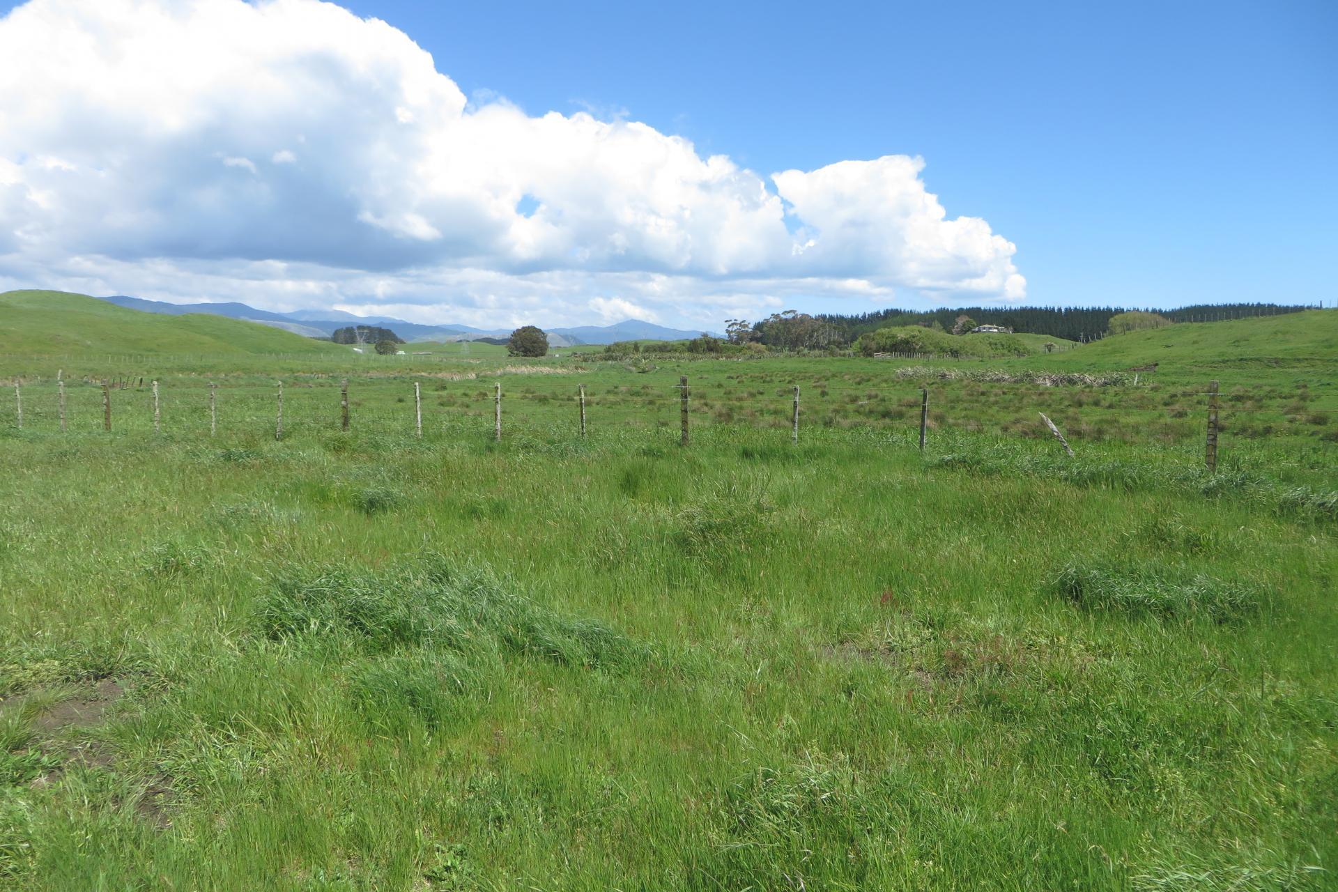 616 Muhunoa Road, Ohau