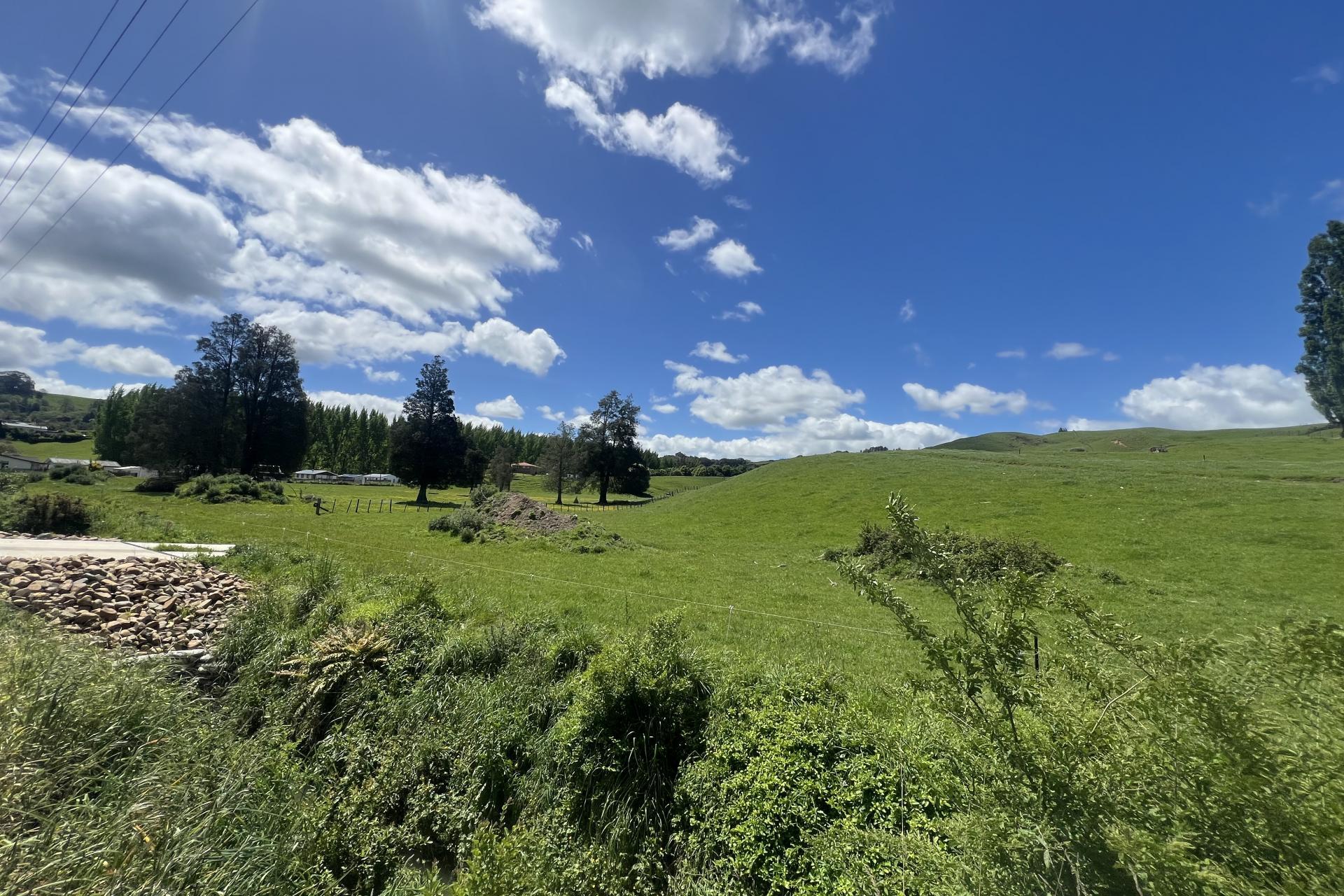 99 William Street, Te Kuiti