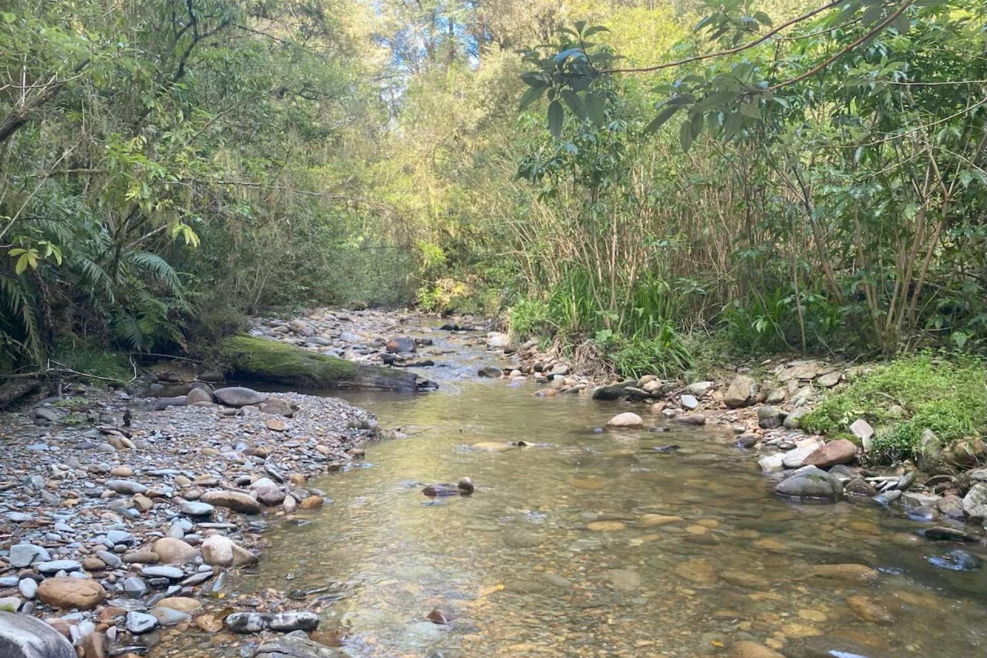 774 Atarau Road, Atarau