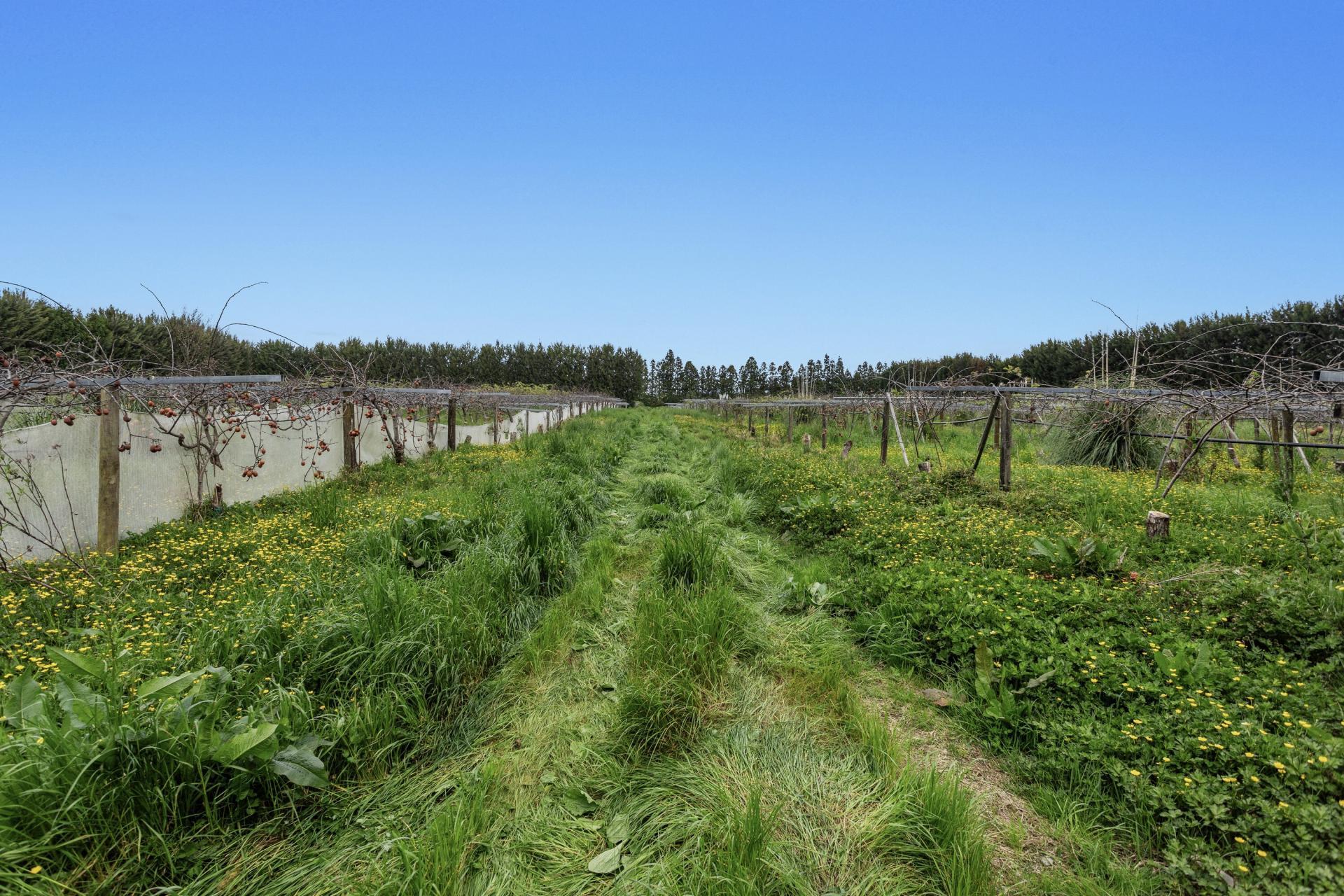 37 Selwyn Road, Poroporo