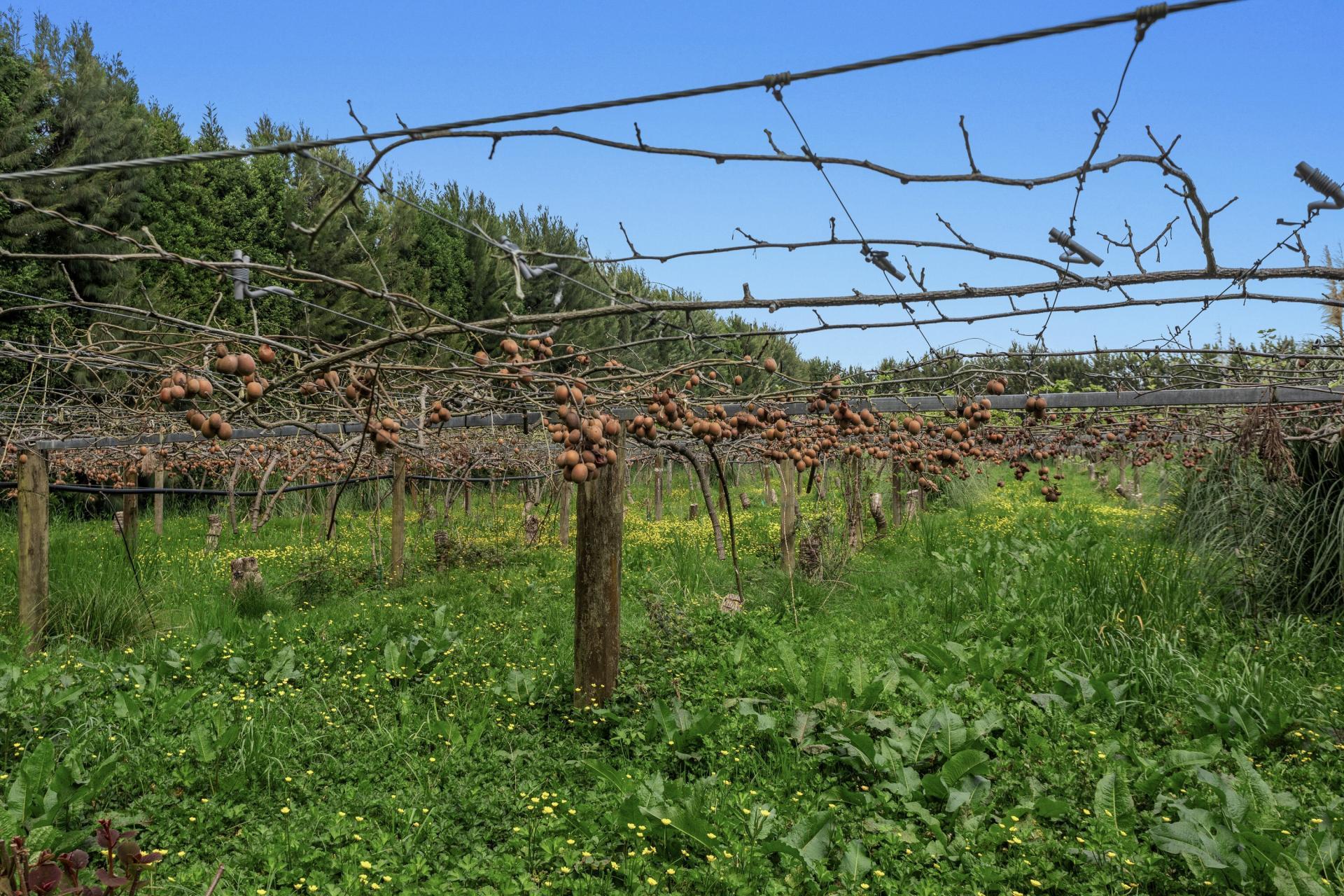 37 Selwyn Road, Poroporo