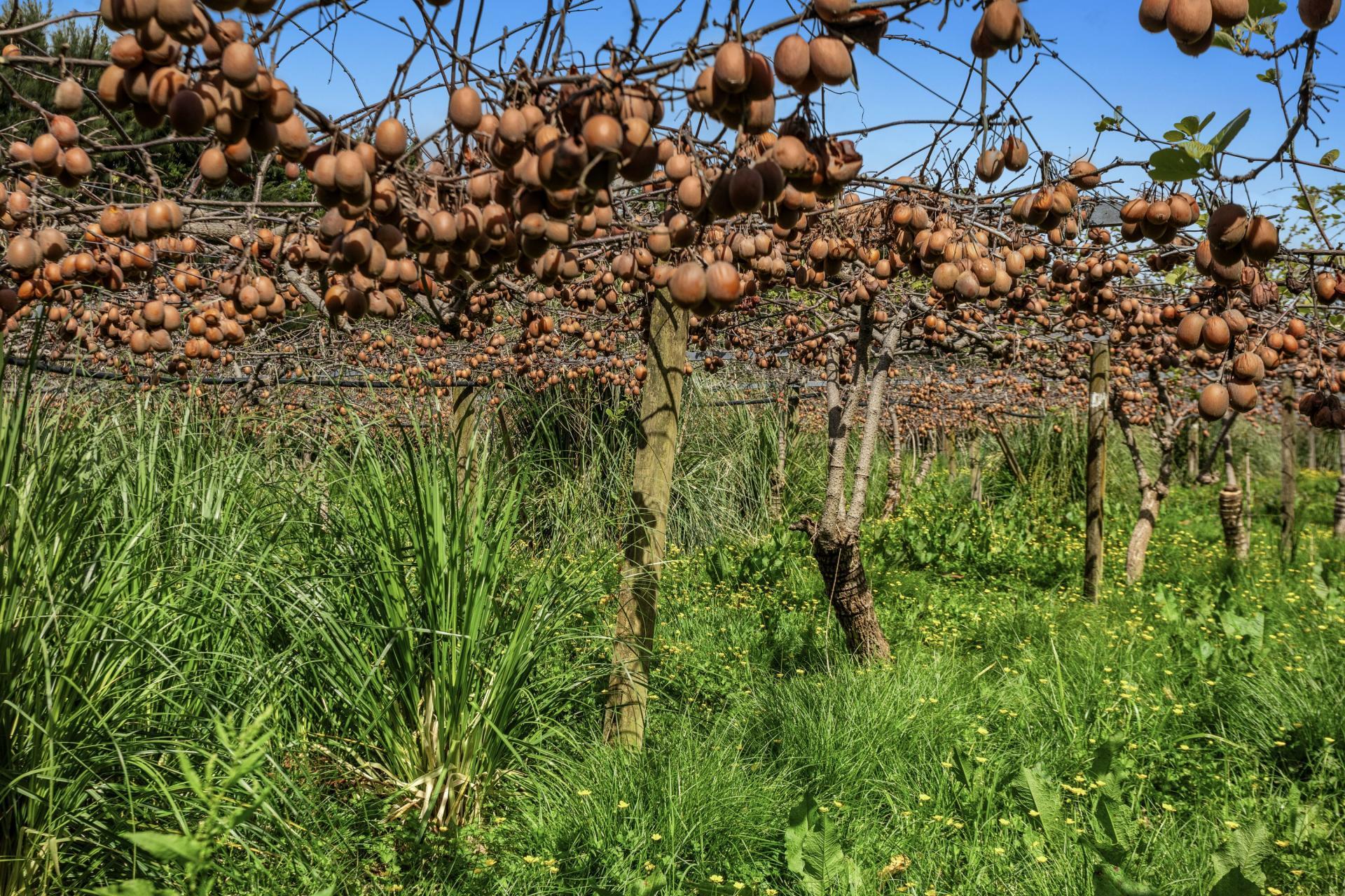 37 Selwyn Road, Poroporo