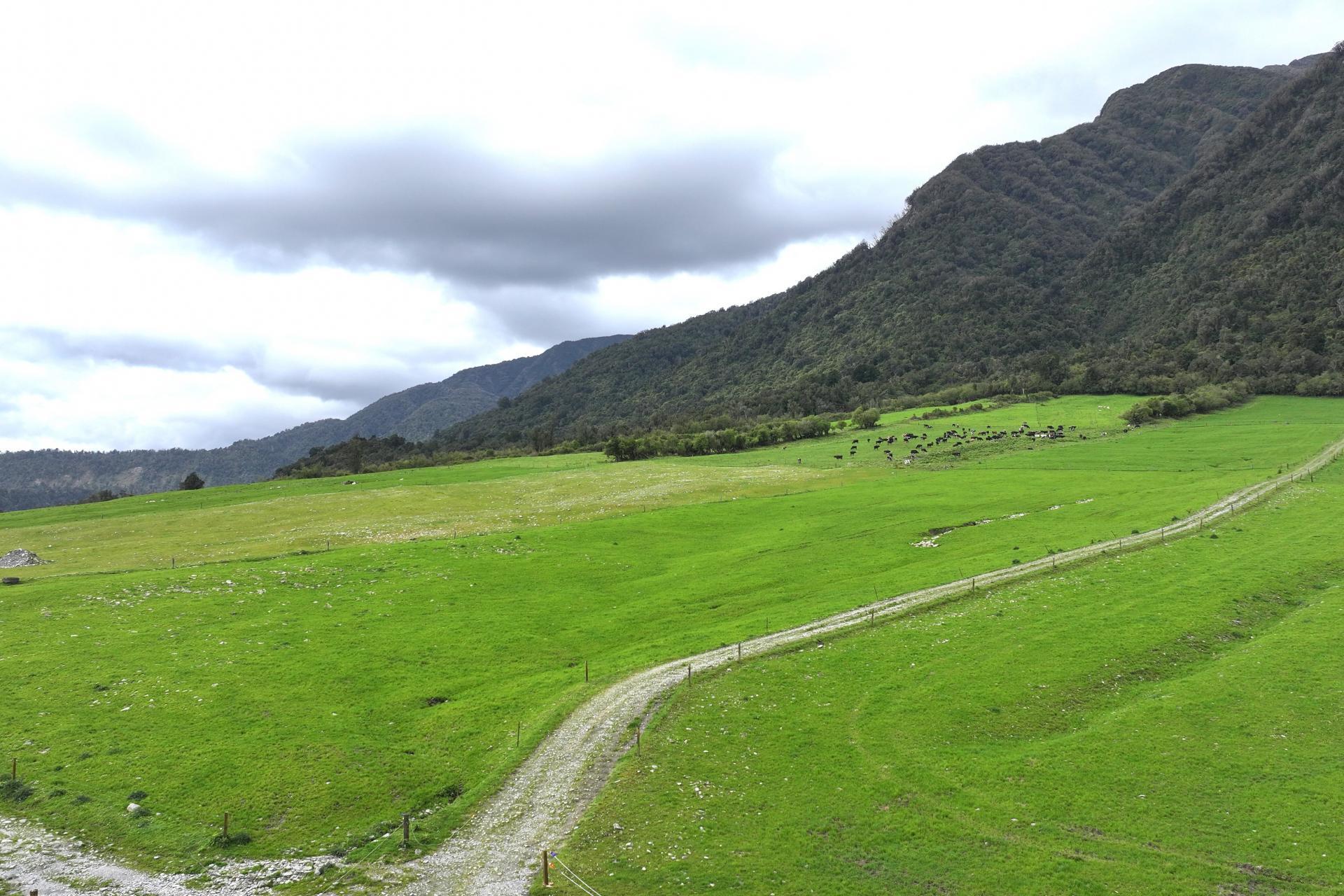 2115 Whataroa Highway, Whataroa