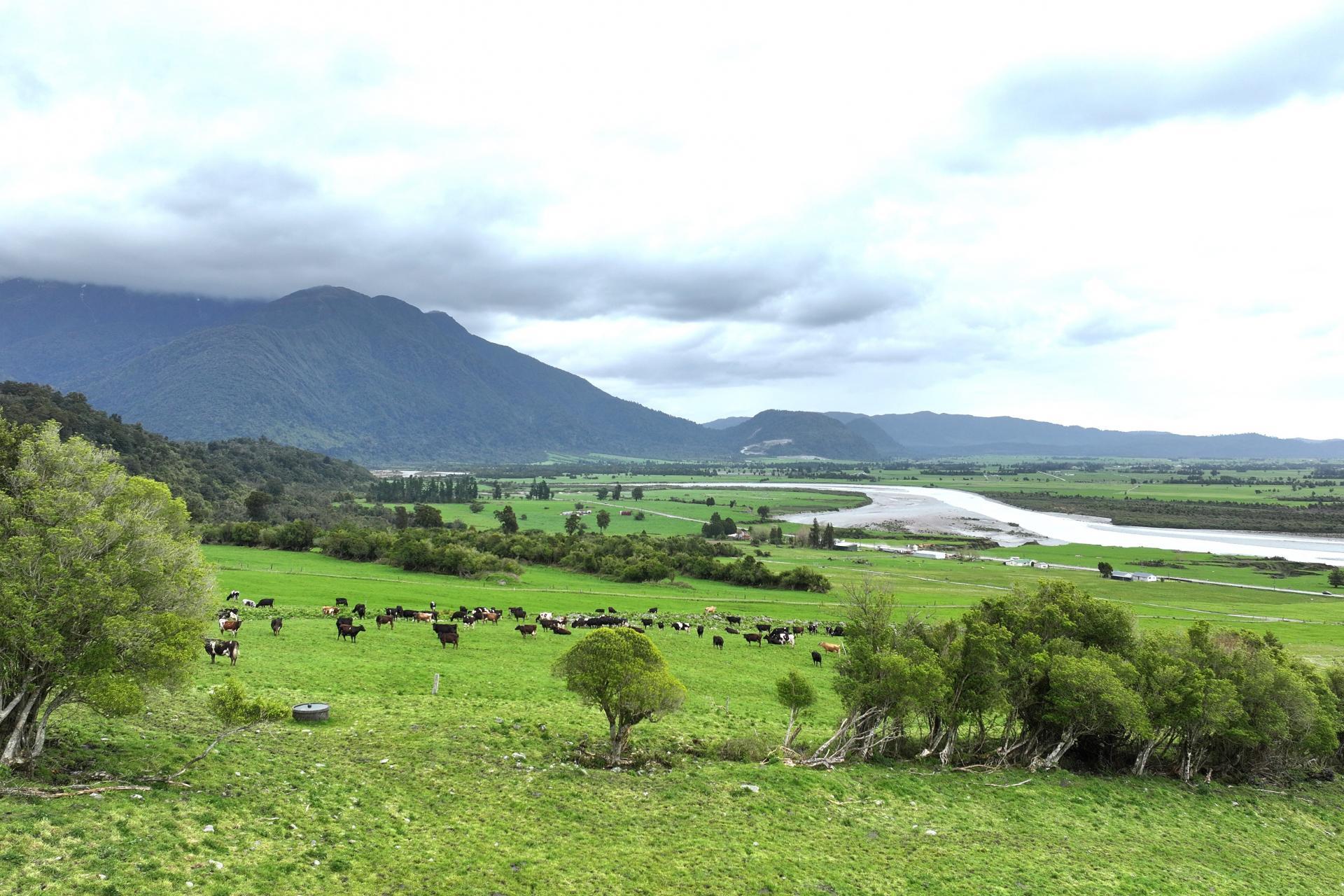 2115 Whataroa Highway, Whataroa