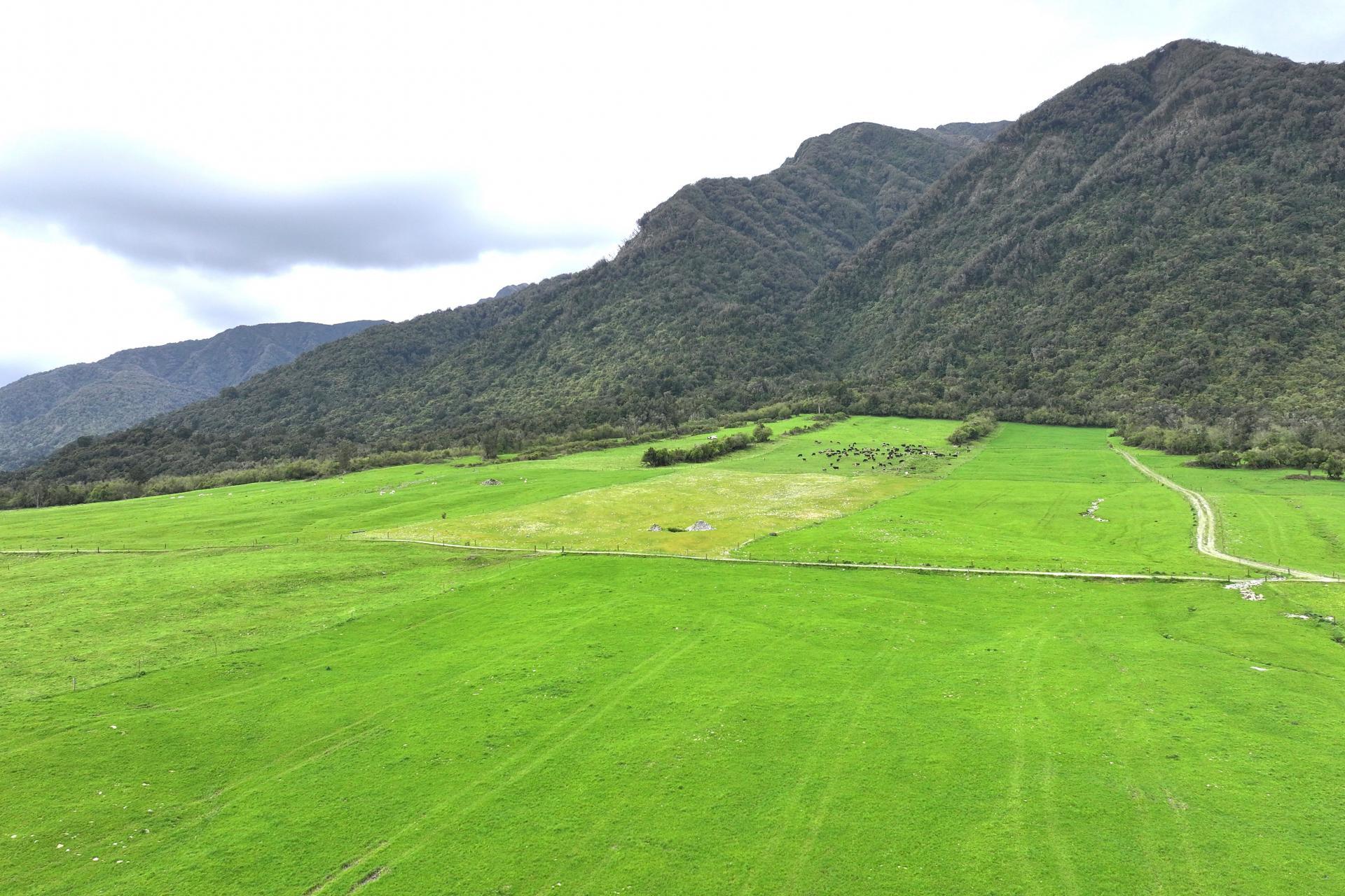 2115 Whataroa Highway, Whataroa