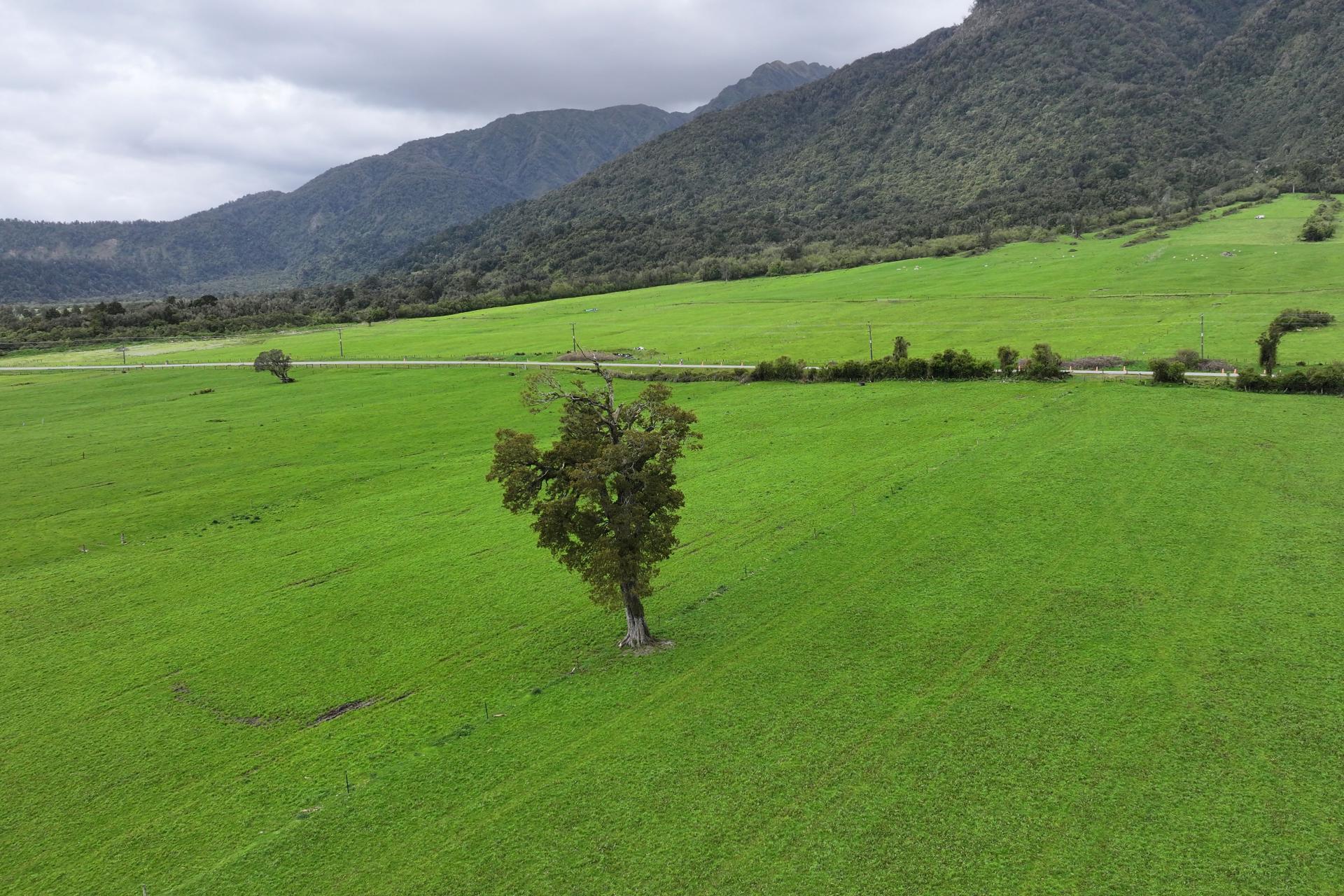 2115 Whataroa Highway, Whataroa