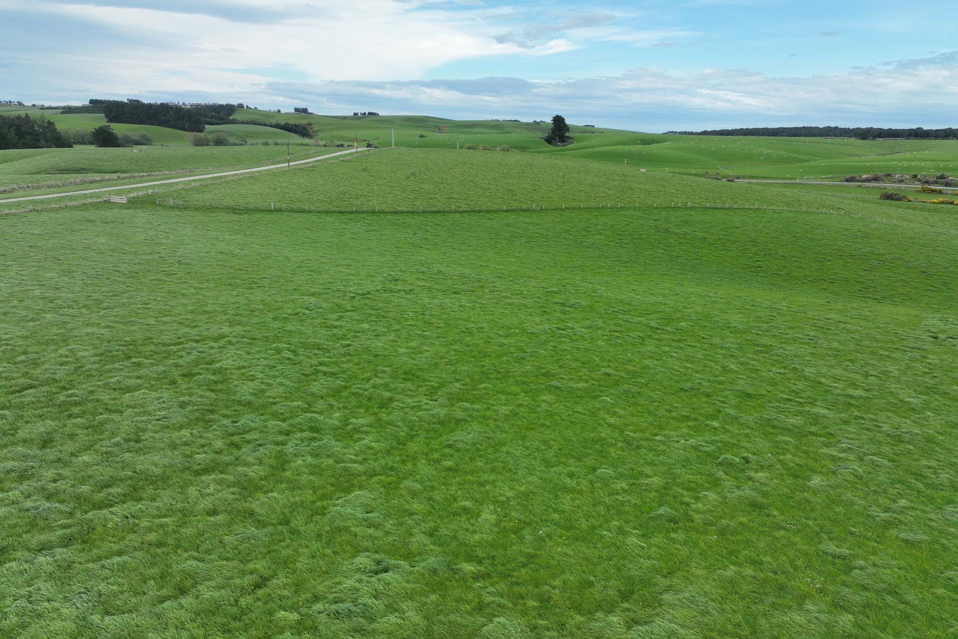 75 + 100 Crighton Road, Waimahaka