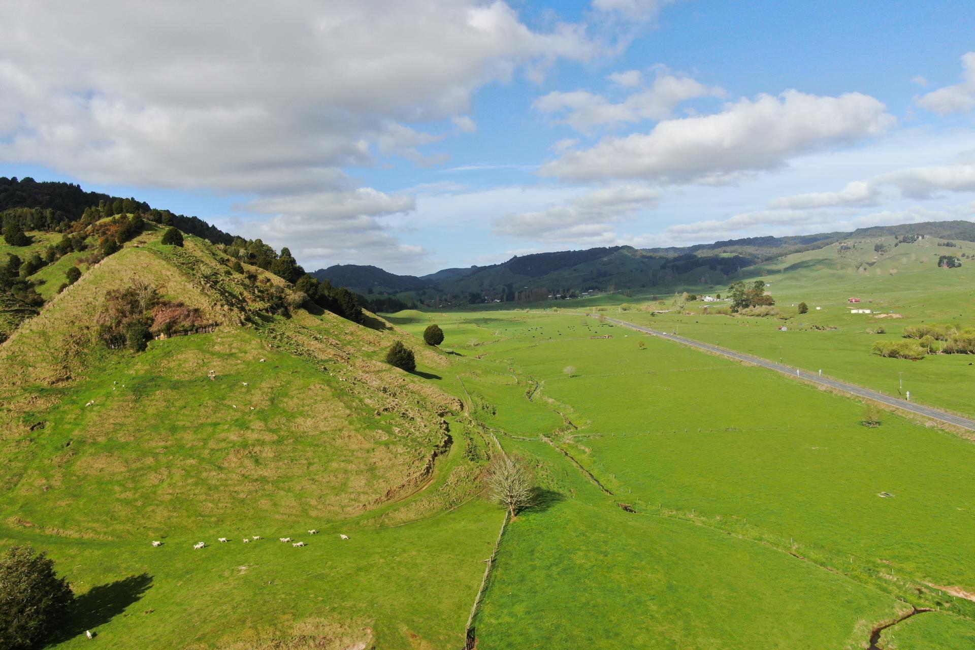 2858 State Highway 30, Benneydale