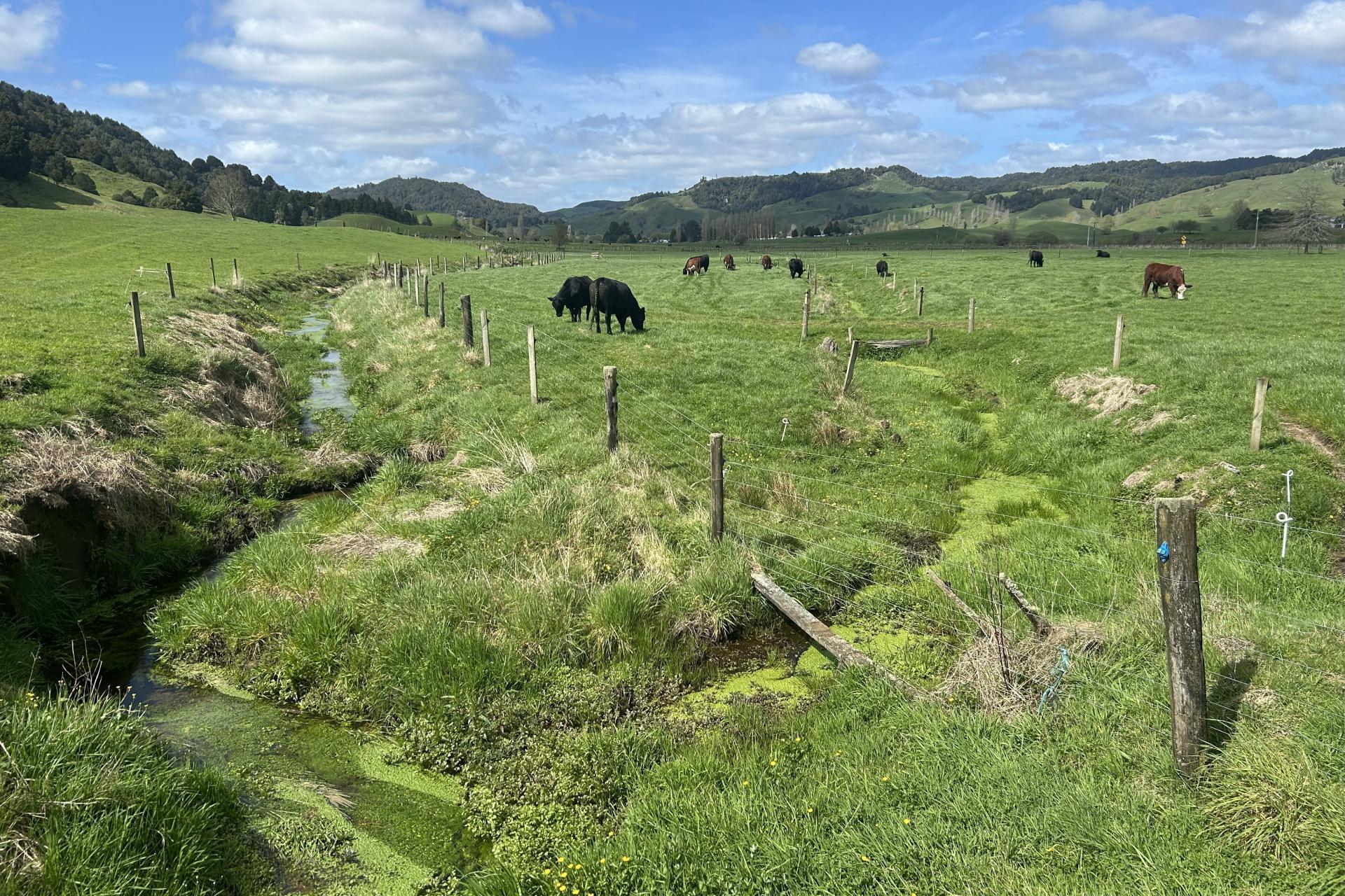 2858 State Highway 30, Benneydale