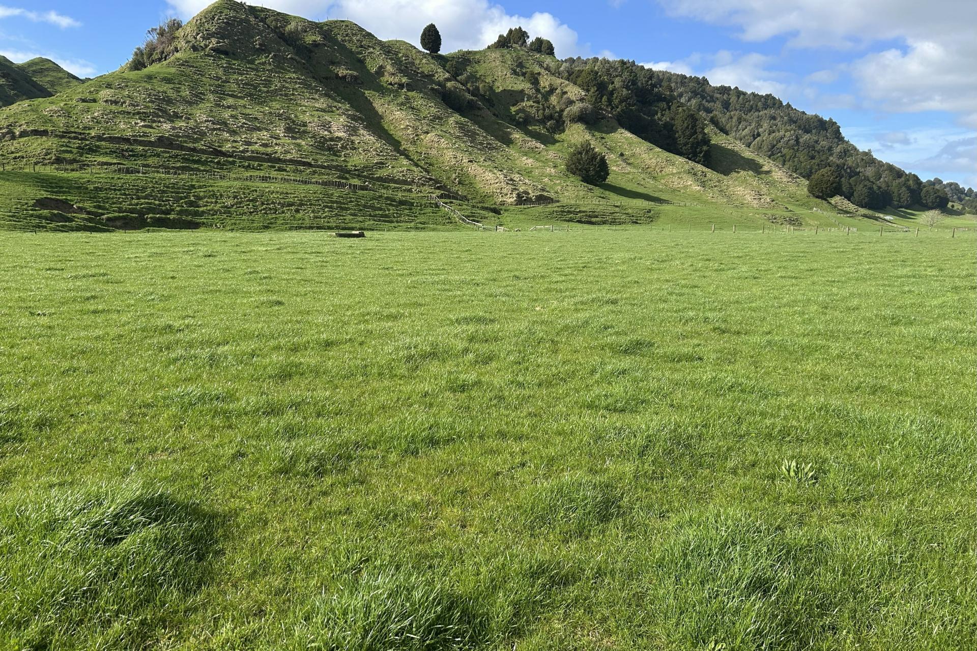 2858 State Highway 30, Benneydale